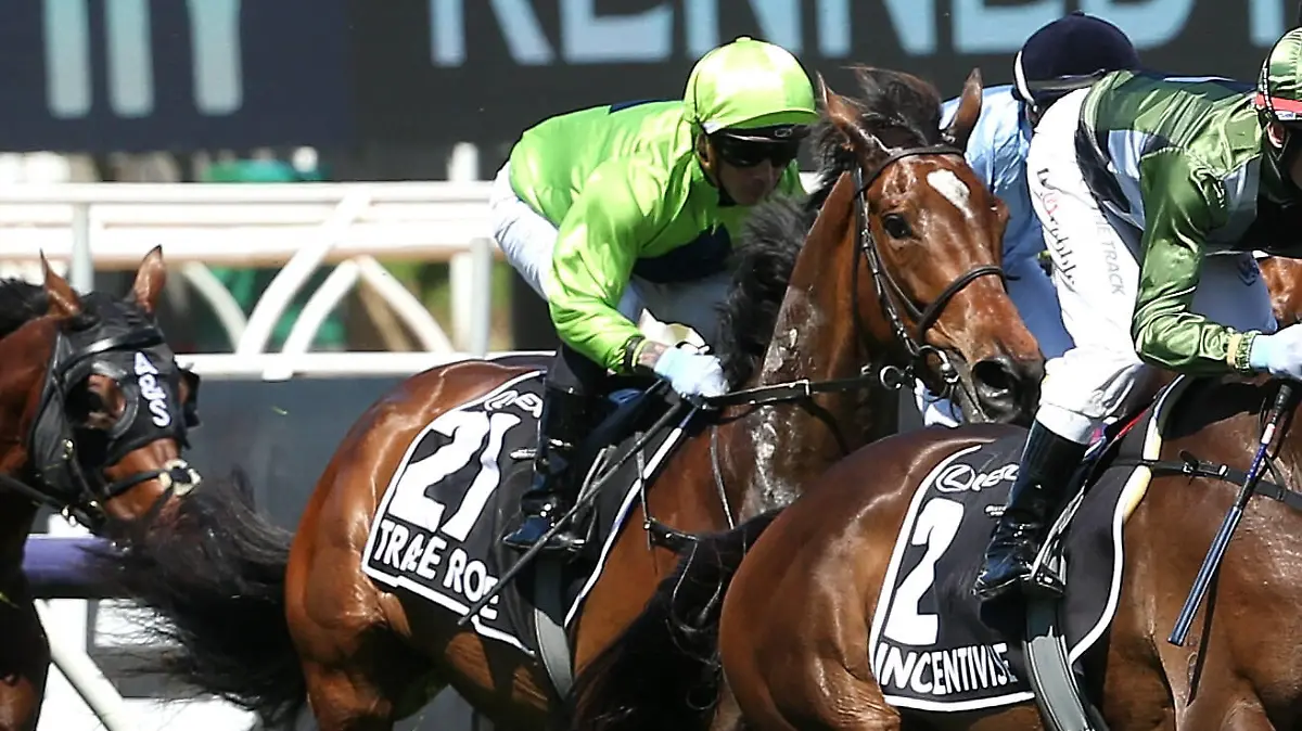 RACING MELBOURNE CUP, Jockey Dean Holland rides Tralee Rose during race 7, The Lexus Melbourne Cup, Tralee Rose was taken to the vet hospital after the race, during Melbourne Cup Day, at Flemington Racecourse, Melbourne, Tuesday, November 2, 2021. ACHTUNG: NUR REDAKTIONELLE NUTZUNG, KEINE ARCHIVIERUNG UND KEINE BUCHNUTZUNG MELBOURNE VIC AUSTRALIA PUBLICATIONxINxGERxSUIxAUTxONLY Copyright: xHAMISHxBLAIRx 20211102001591983712