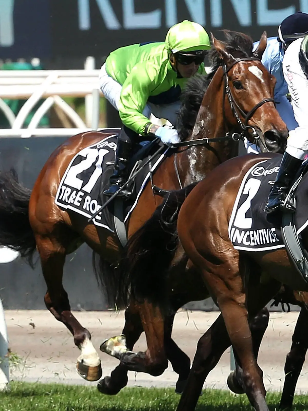 RACING MELBOURNE CUP, Jockey Dean Holland rides Tralee Rose during race 7, The Lexus Melbourne Cup, Tralee Rose was taken to the vet hospital after the race, during Melbourne Cup Day, at Flemington Racecourse, Melbourne, Tuesday, November 2, 2021.  ACHTUNG: NUR REDAKTIONELLE NUTZUNG, KEINE ARCHIVIERUNG UND KEINE BUCHNUTZUNG MELBOURNE VIC AUSTRALIA PUBLICATIONxINxGERxSUIxAUTxONLY Copyright: xHAMISHxBLAIRx 20211102001591983712 