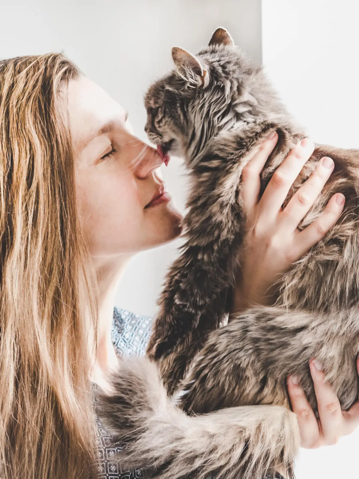 Katze leckt Frau