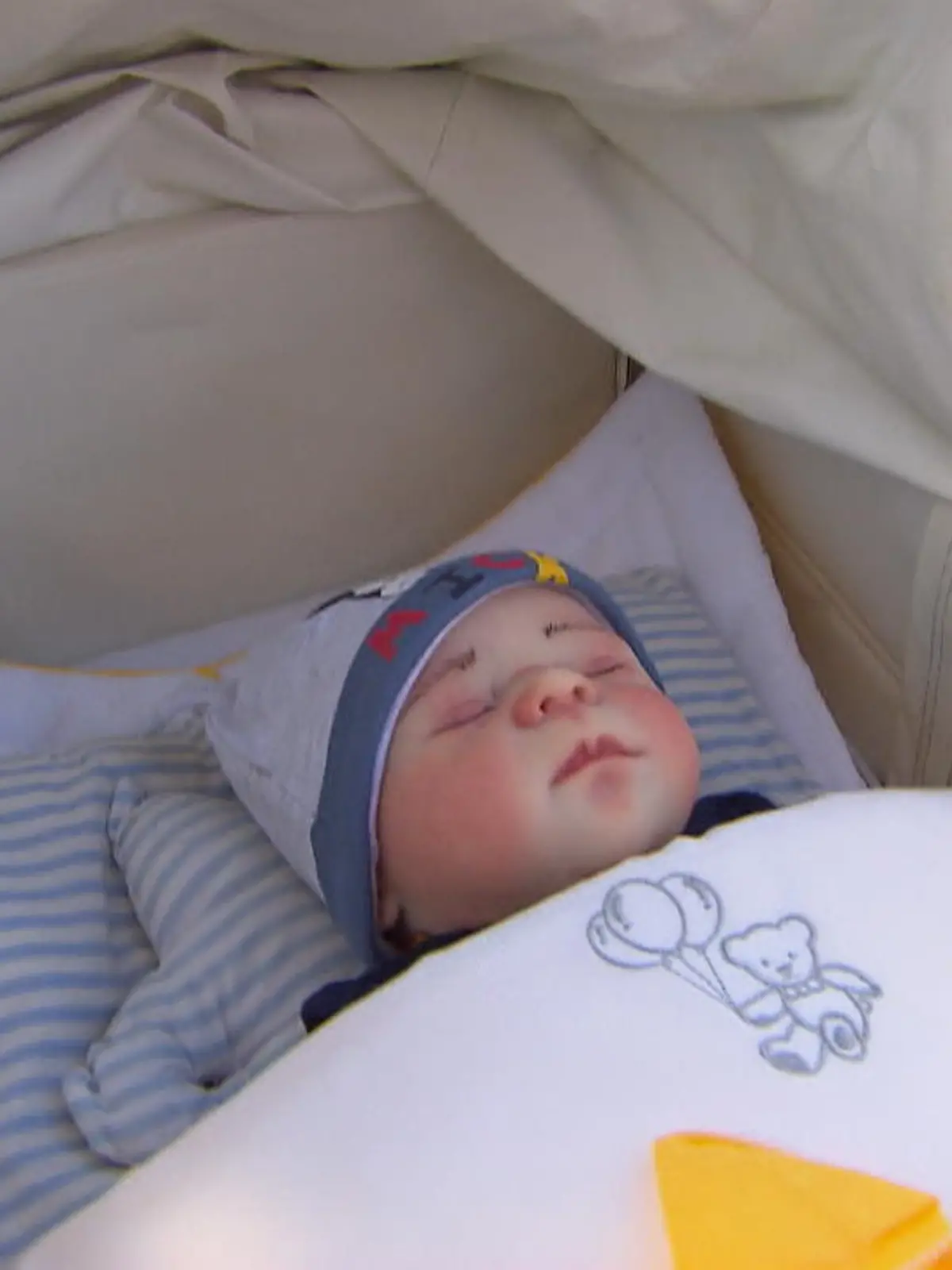 Das Internet hält so manche Überraschung parat. Jasmin Karl und ihre Tochter FInja zum Beispiel bestellen sich Babies im netz. Kleine täuschend echt aussehende Puppen zum Zusammenbauen. Klingt erstmal ziemlich verrückt - ist aber ein Trend aus den USA, der auch in Deutschland immer größer wird.