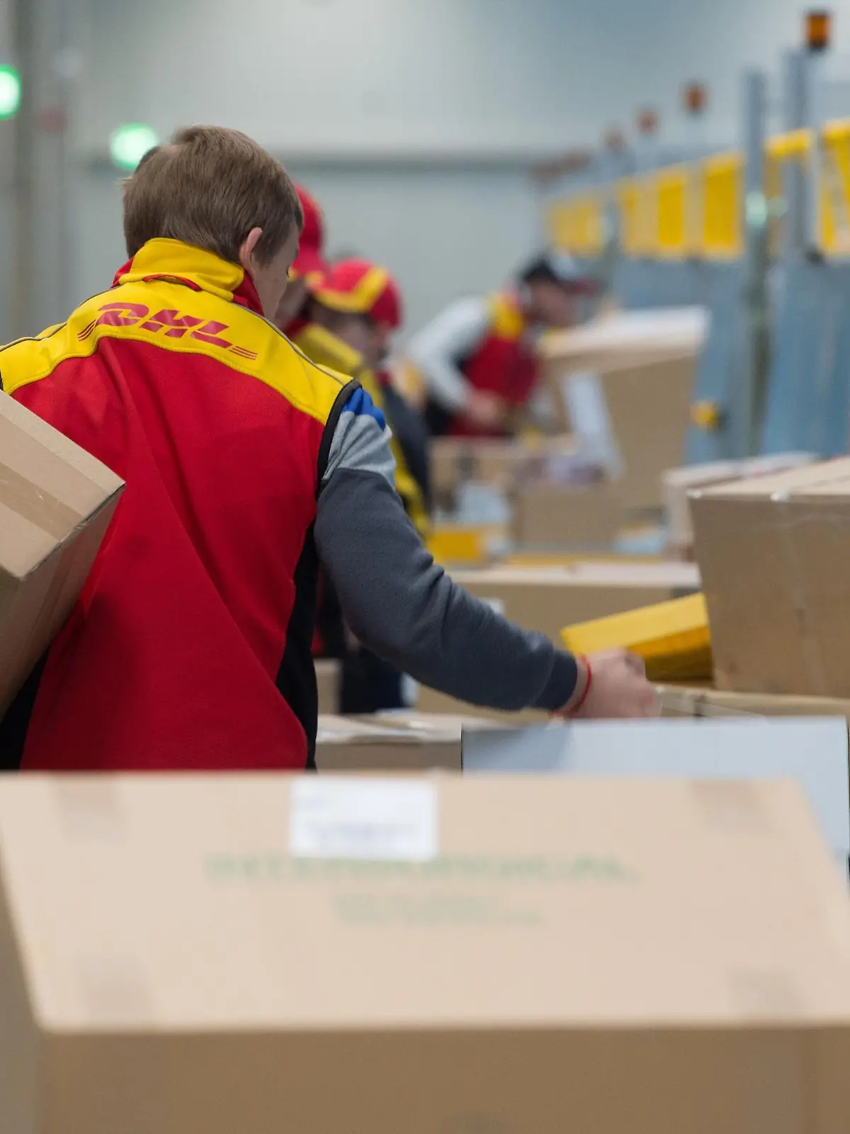Paketboten sortieren  in einer Zustellbasis des Logistikunternehmens Deutsche Post DHL in Dresden,