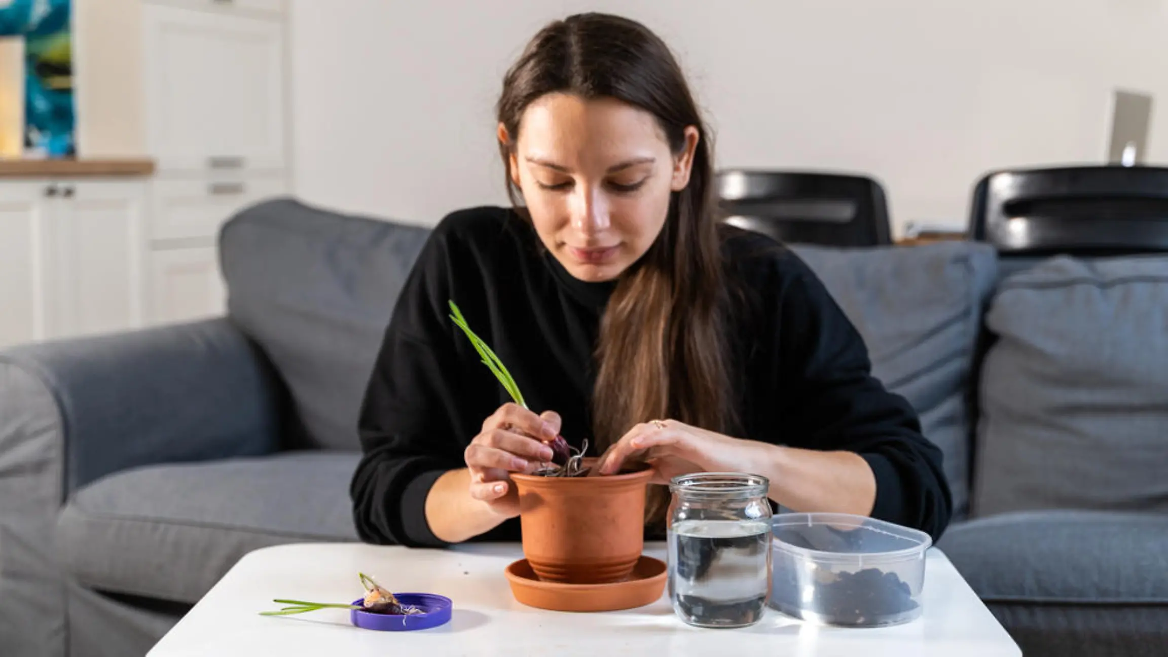"Indoor-Ernte": Wie das eigene Wohnzimmer zum Garten wird