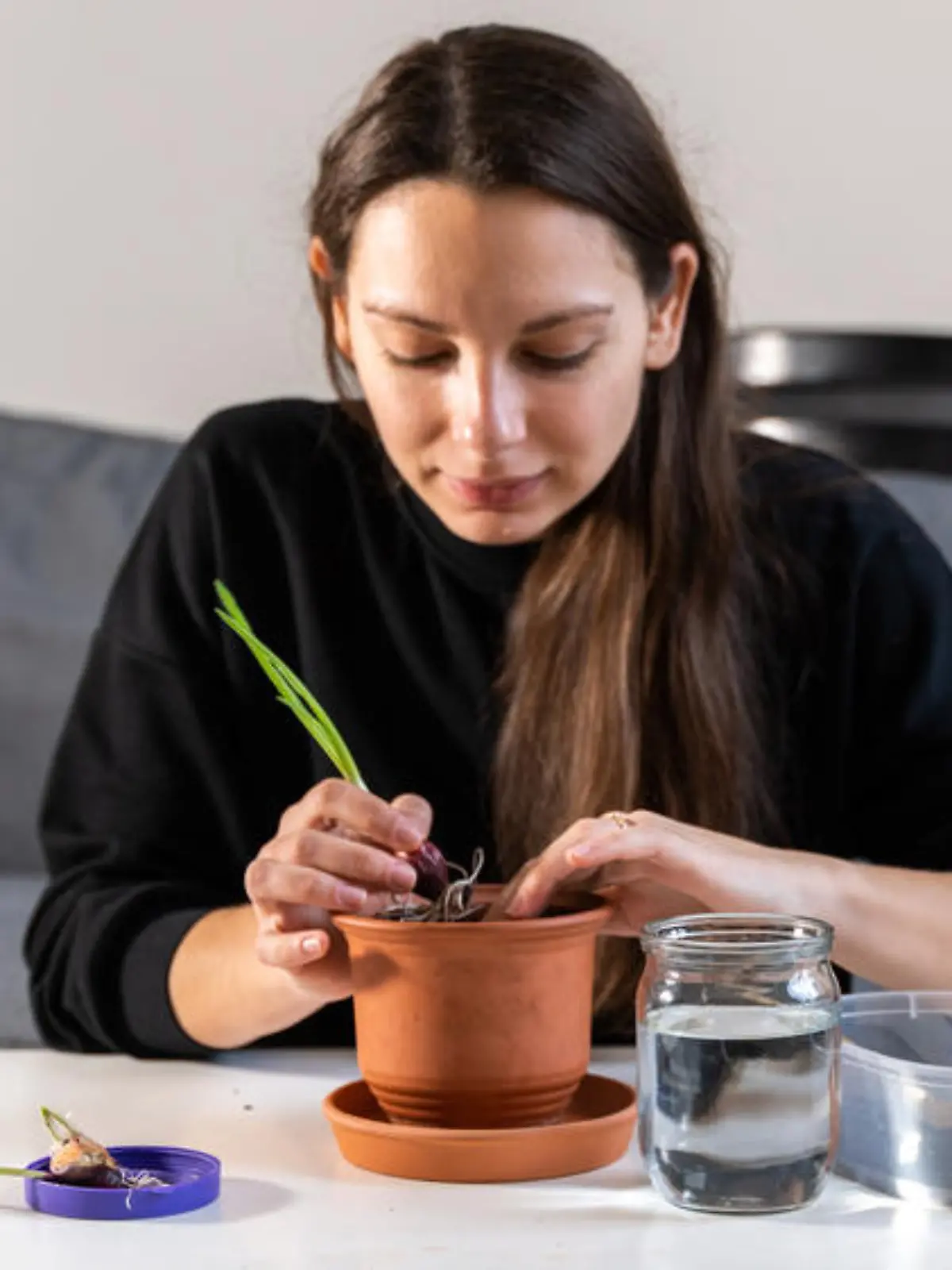 "Indoor-Ernte": Wie das eigene Wohnzimmer zum Garten wird