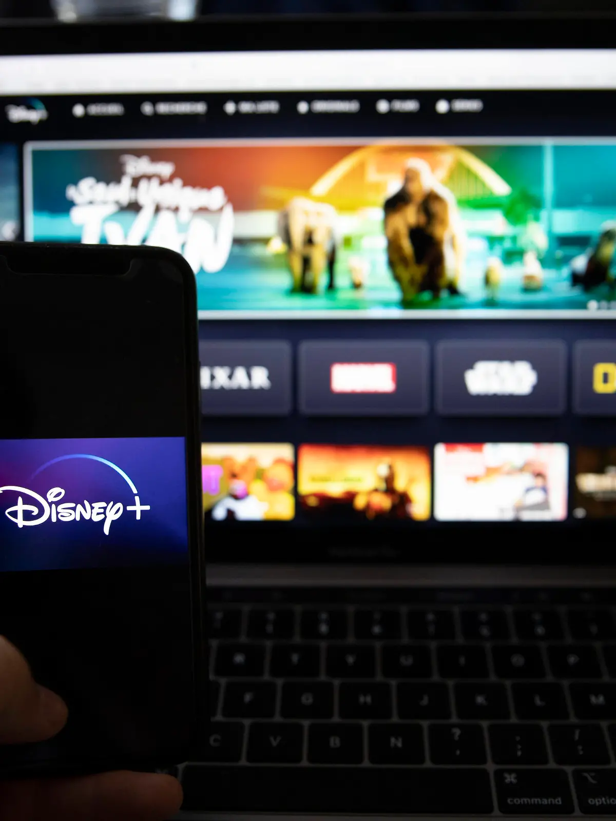  ILLUSTRATIONS - SITE INTERNET - NETWORK Illustration of the online streaming platform, Disney application, in Paris, September 15, 2020.Illustration Illustrations de la plateforme de streaming en ligne, application Disney, a Paris, le 15 septembre 2020. Paris France PUBLICATIONxINxGERxSUIxAUTxONLY Copyright: xAntoinexWdox HL_AWDO_1219602
