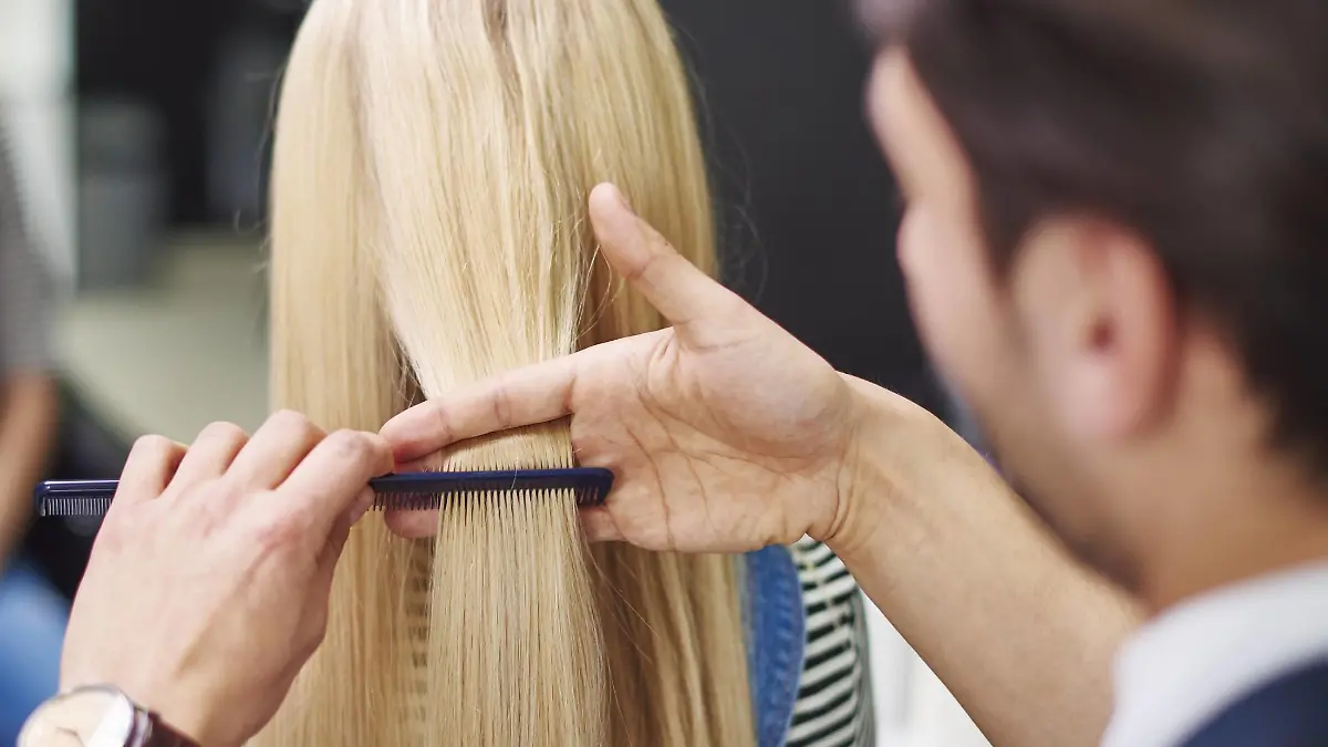 Rear view of hairdresser combing woman s hair model released Symbolfoto property released PUBLICATIONxINxGERxSUIxAUTxHUNxONLY ABIF00348