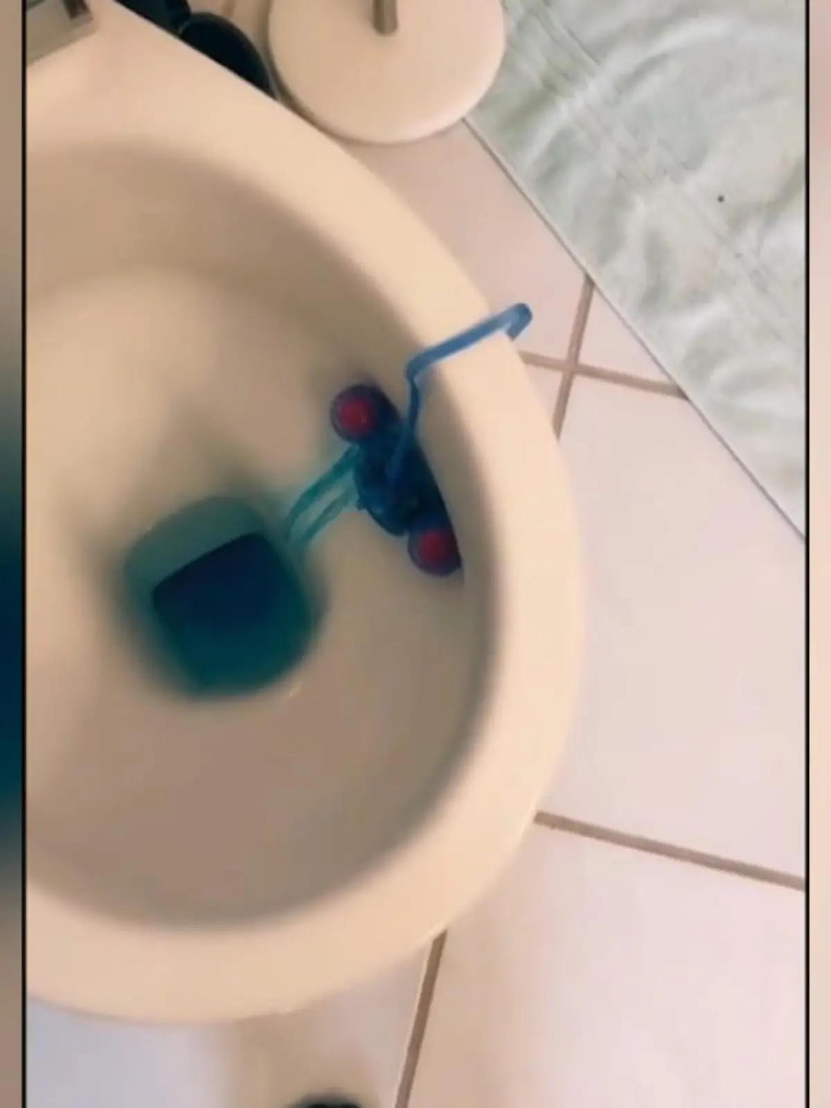 Bild zu: "Hängt man so WC-Steine "richtig" auf?"