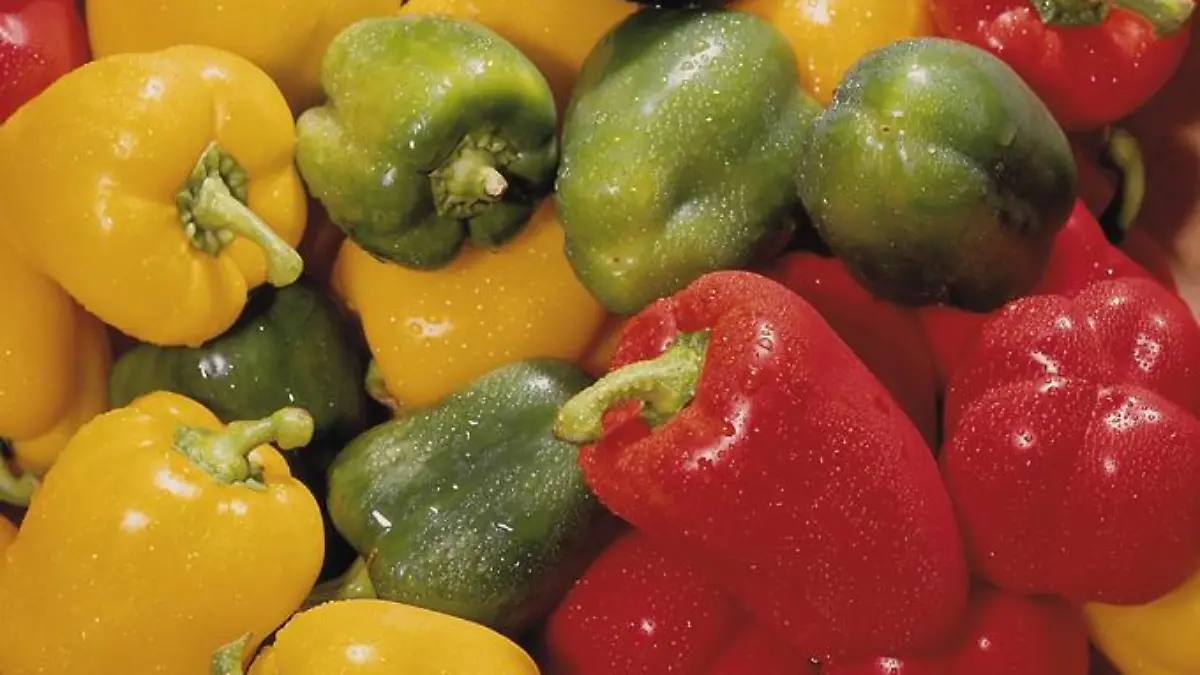Paprikaschoten in rot, gelb und grün