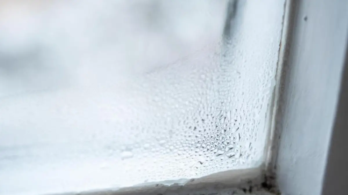 Kondenswasser an einem Fenster