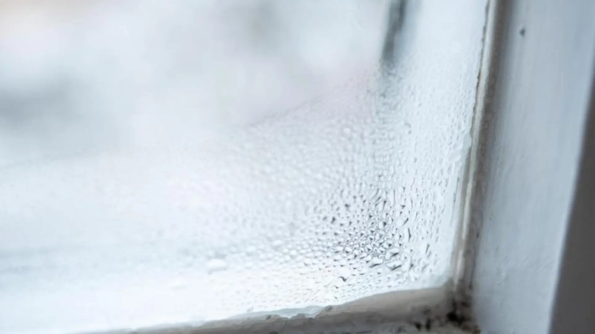 Kondenswasser an einem Fenster