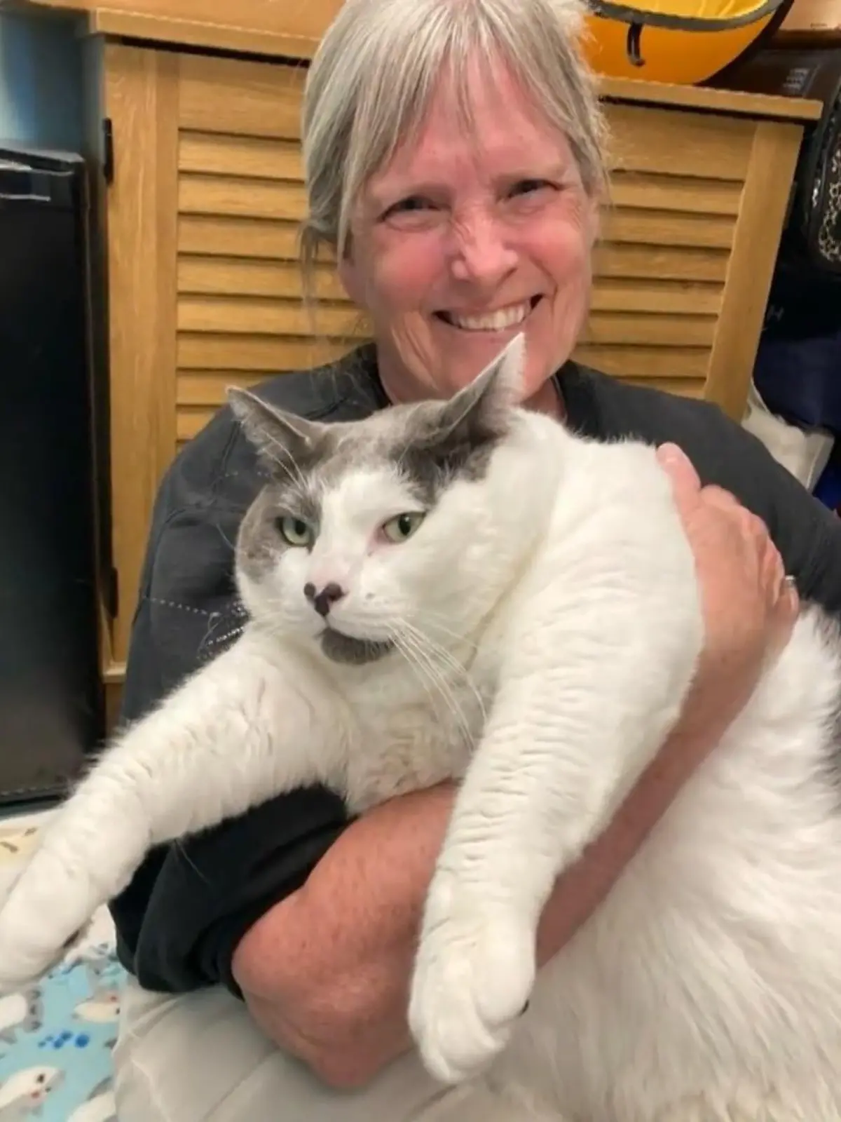 Katzer Patches ist happy! Der 18 Kilogramm schwere Kater wurde zum Internet-Hit - und hat jetzt ein neues Zuhause gefunden. Seine rührende Geschichte sehen Sie im Video.