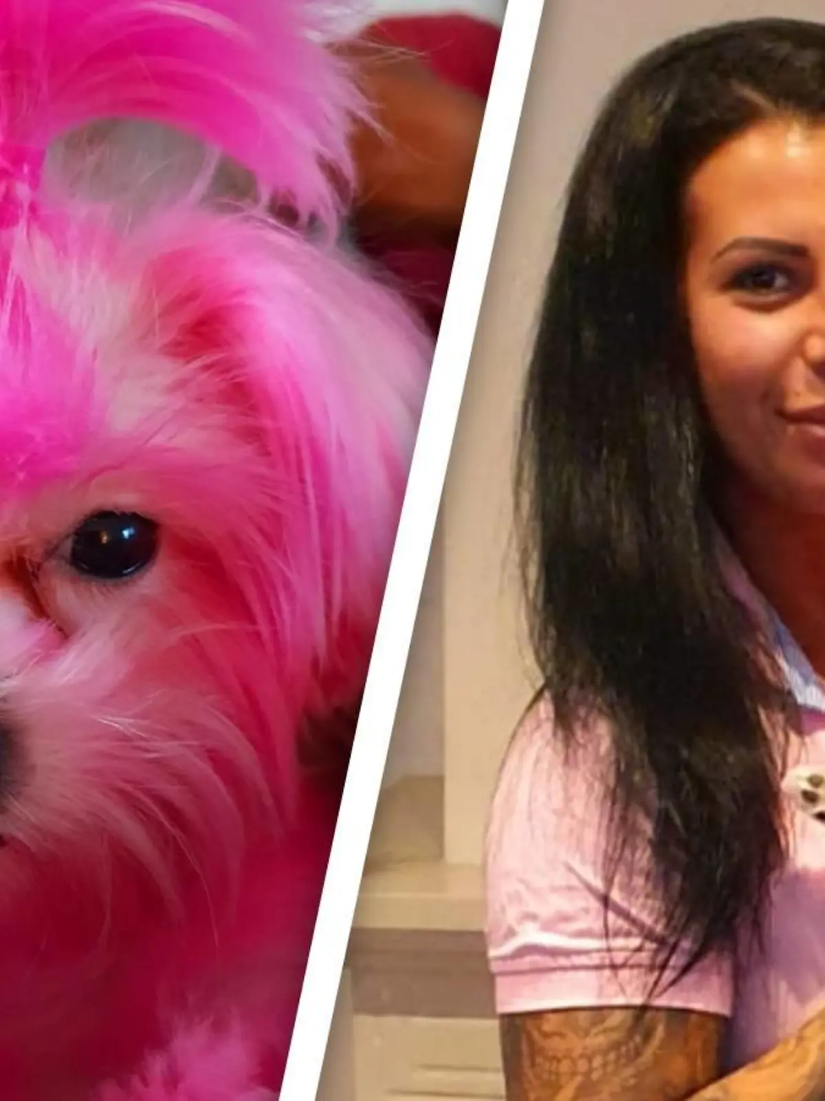 Miriam Mader färbte ihren Malteser rosa
