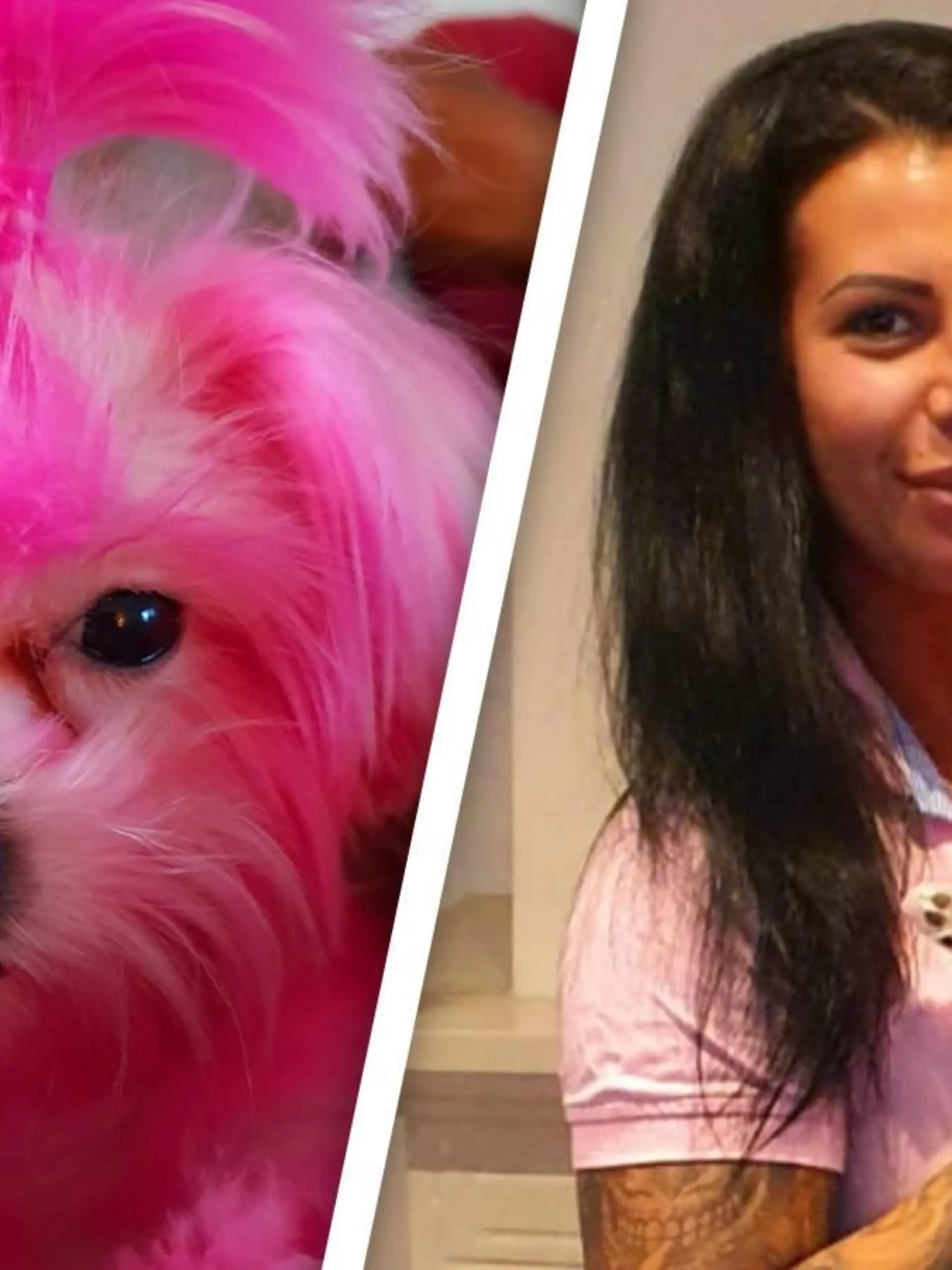 Miriam Mader färbte ihren Malteser rosa