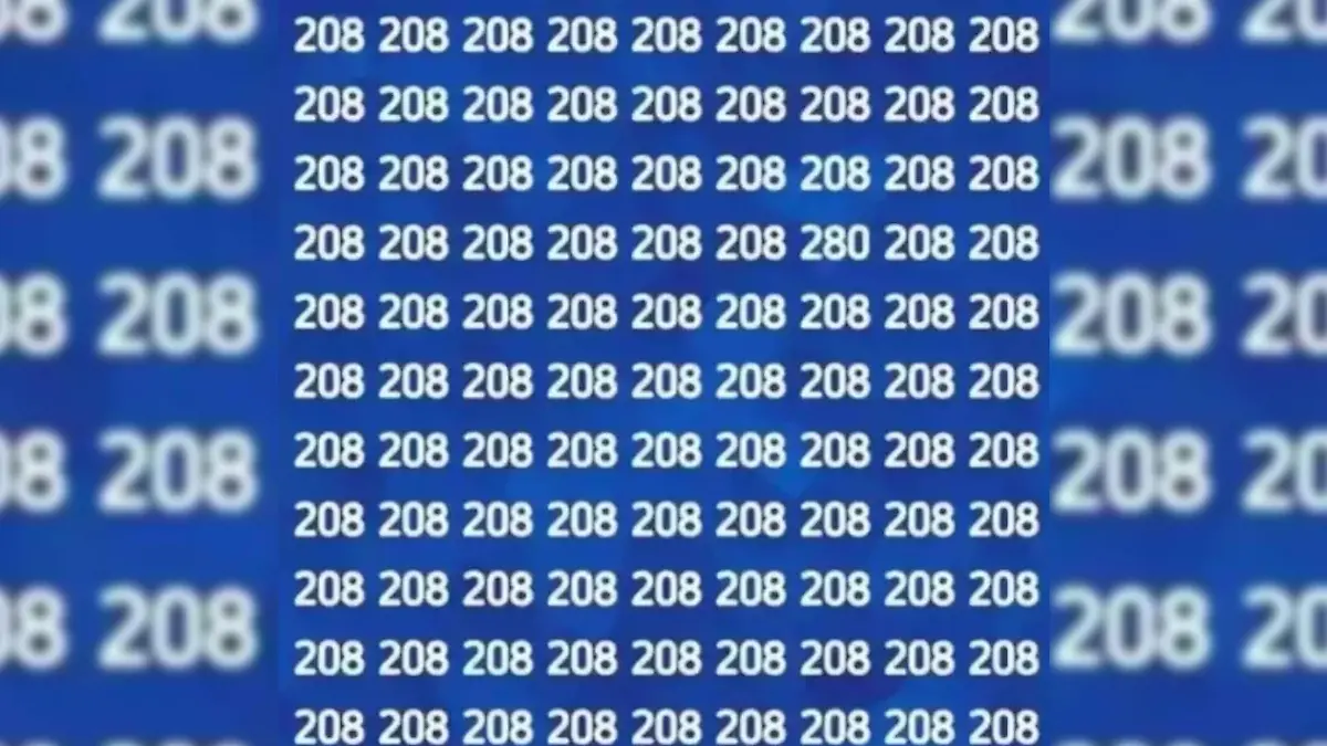 Suchbild 280