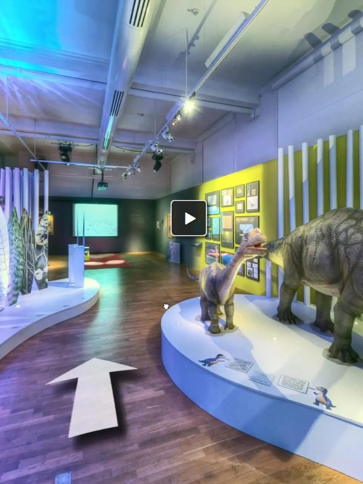 Besuch der einzelnen Ausstellungen per App