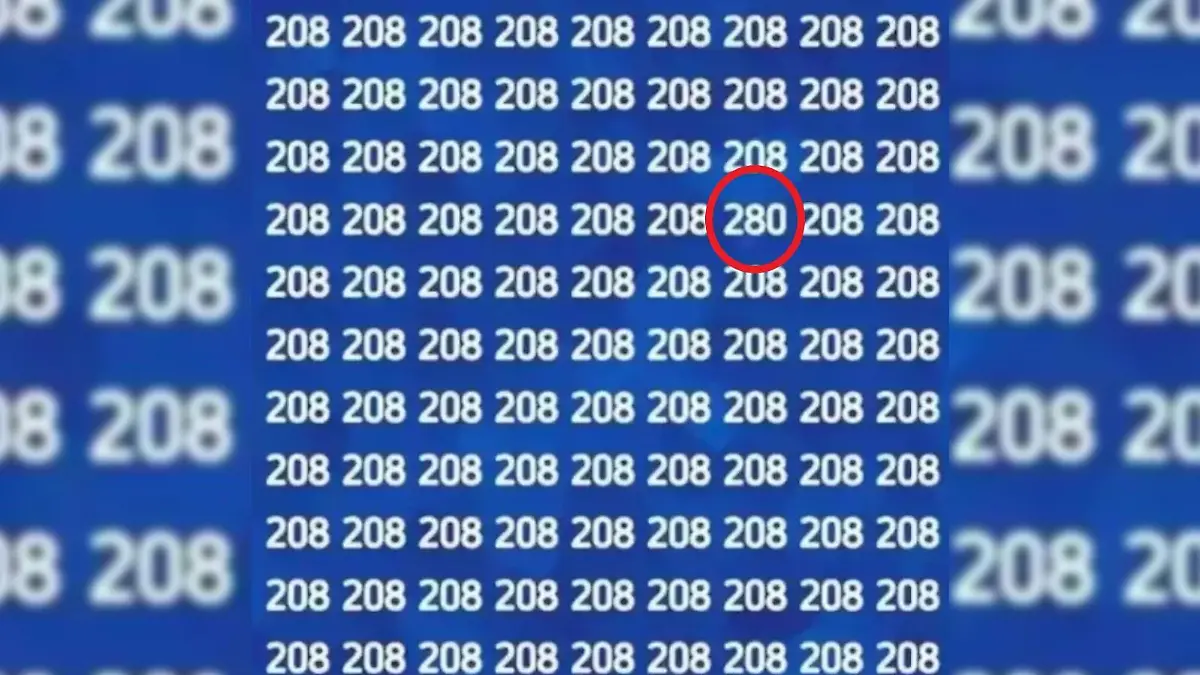 280 Suchbild