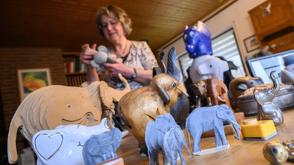 20.04.2023, Niedersachsen, Hannover: Ursel Koht zeigt einen Teil ihrer Elefantensammlung. Ein Ehepaar aus der Nähe von Hannover muss sich wegen eines Umzugs von seiner über Jahrzehnte gewachsenen Elefantensammlung trennen. Im Lauf der Jahrzehnte sind immer mehr Dickhäuter in das Haus der Kohts eingezogen, darunter Figuren in jeglicher Größe, Stofftiere, Gemälde und Fotografien. Insgesamt umfasst die Sammlung weiter über 500 Elefanten. Foto: Julian Stratenschulte/dpa +++ dpa-Bildfunk +++