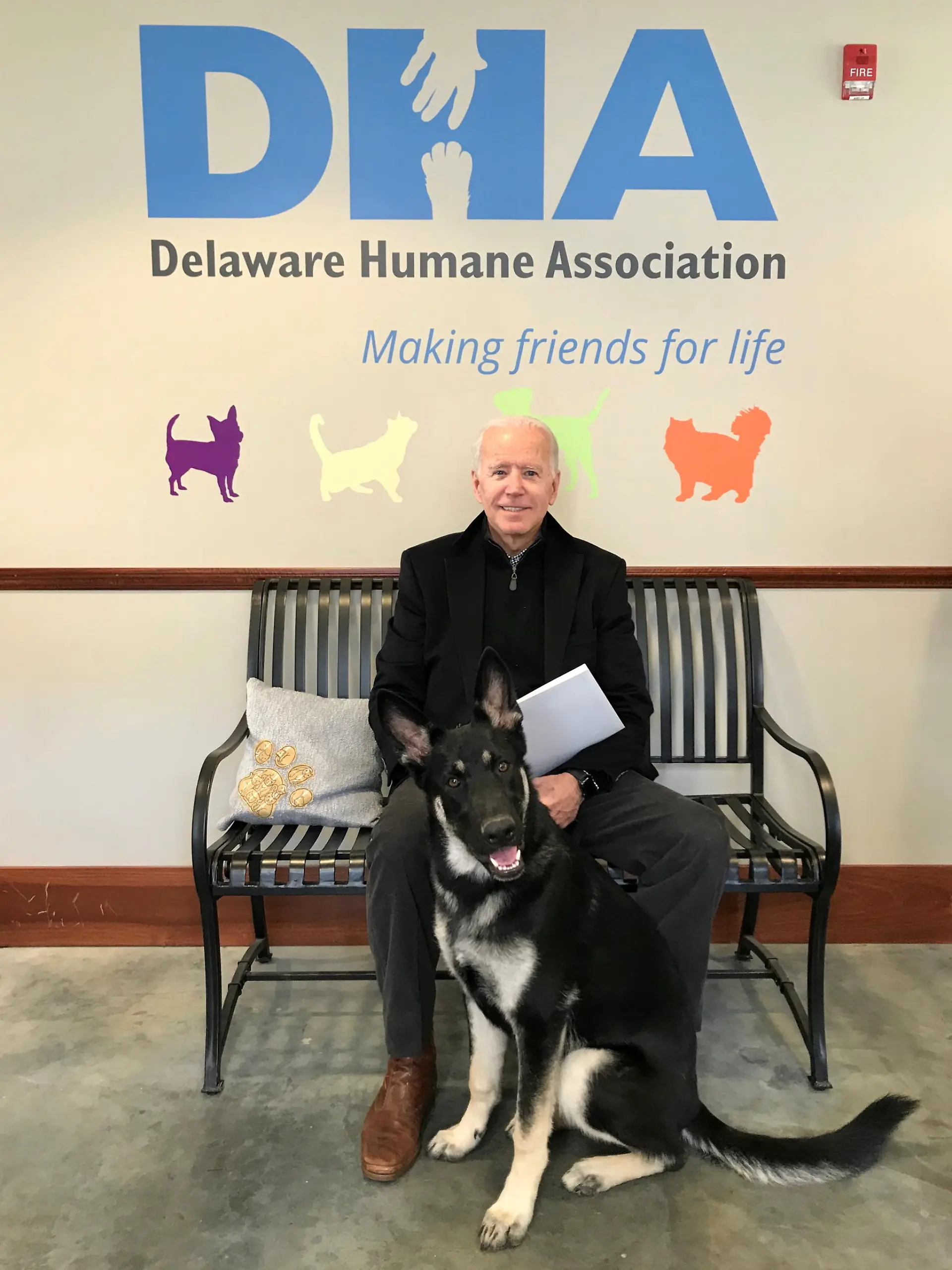 Former U.S. Vice President Joe Biden poses with his new rescue dog Major while adopting it from the Delaware Humane Association in Wilmington, Delaware, U.S. November 16, 2018. Picture taken November 16, 2018.  Stephanie Gomez (Carter)/Delaware Humane Association/Handout via REUTERS NO RESALES. NO ARCHIVES. MANDATORY CREDIT. THIS IMAGE HAS BEEN SUPPLIED BY A THIRD PARTY.