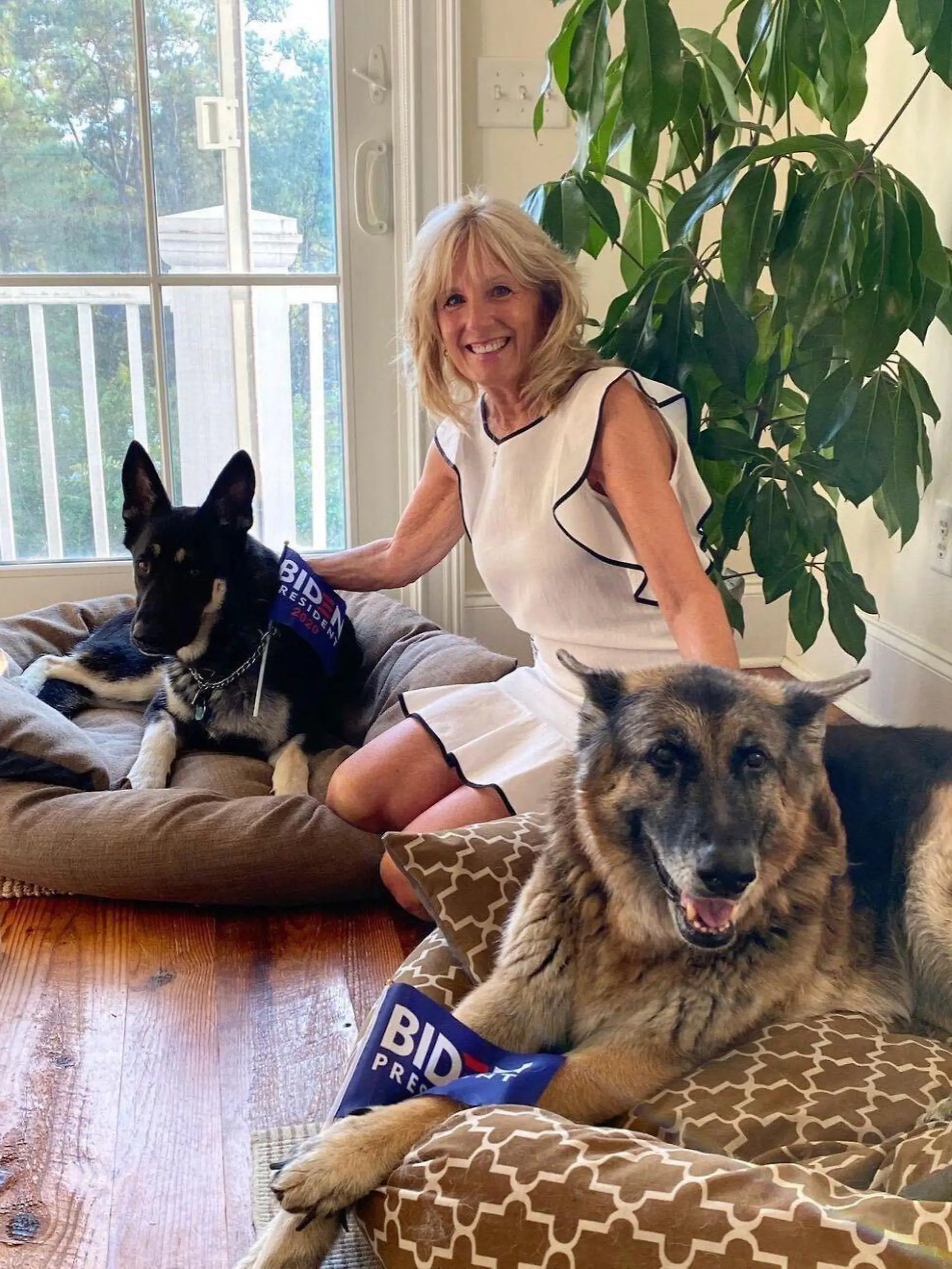 Mit dem Einzug der Familie von Joe Biden werden auch die beiden Schäferhunde "Champ" und "Major" die neuen Bewohner des Weißen Hauses.