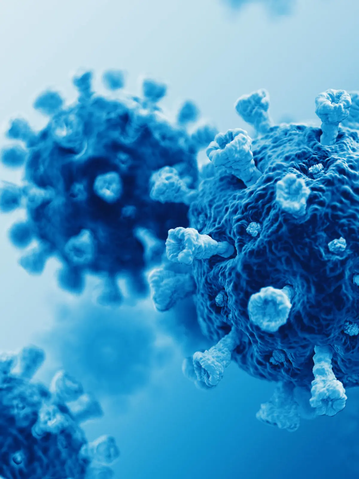Coronavirus