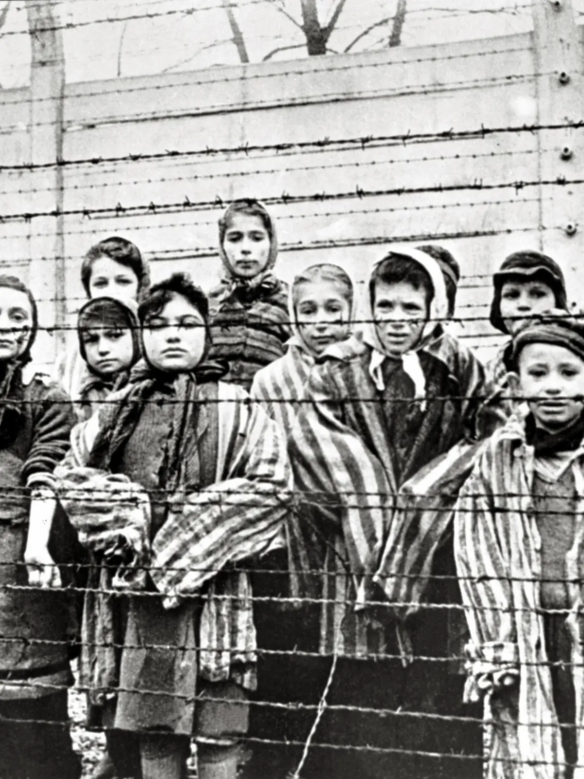  Überlebende jüdische Kinder in Auschwitz Mit Krankenschwester hinter Stacheldrahtzaun. Das Foto wurde von einem sowjetischen Fotografen während der Herstellung eines Films über Befreiung des Lagers gemacht. Die Kinder wurden von den Russen mit Kleidung von erwachsenen Gefangenen verkleidet. Auschwitz, Polen. Datum: Februar 1945 *** Surviving Jewish children in Auschwitz with nurse behind barbed wire fence. The photo was taken by a soviet photographer while making a film about liberation of the camp. The children were disguised by the Russians with clothes of adult prisoners. Auschwitz Poland. Date of February, 1945
