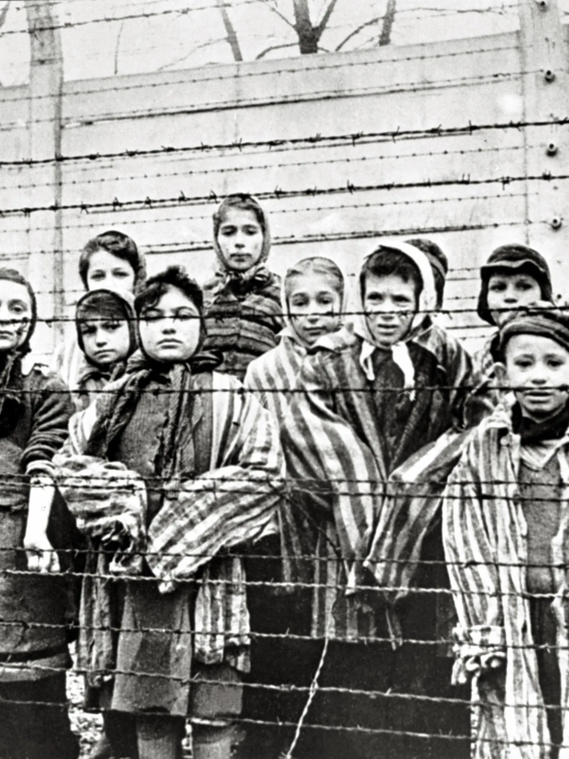  Überlebende jüdische Kinder in Auschwitz Mit Krankenschwester hinter Stacheldrahtzaun. Das Foto wurde von einem sowjetischen Fotografen während der Herstellung eines Films über Befreiung des Lagers gemacht. Die Kinder wurden von den Russen mit Kleidung von erwachsenen Gefangenen verkleidet. Auschwitz, Polen. Datum: Februar 1945 *** Surviving Jewish children in Auschwitz with nurse behind barbed wire fence. The photo was taken by a soviet photographer while making a film about liberation of the camp. The children were disguised by the Russians with clothes of adult prisoners. Auschwitz Poland. Date of February, 1945