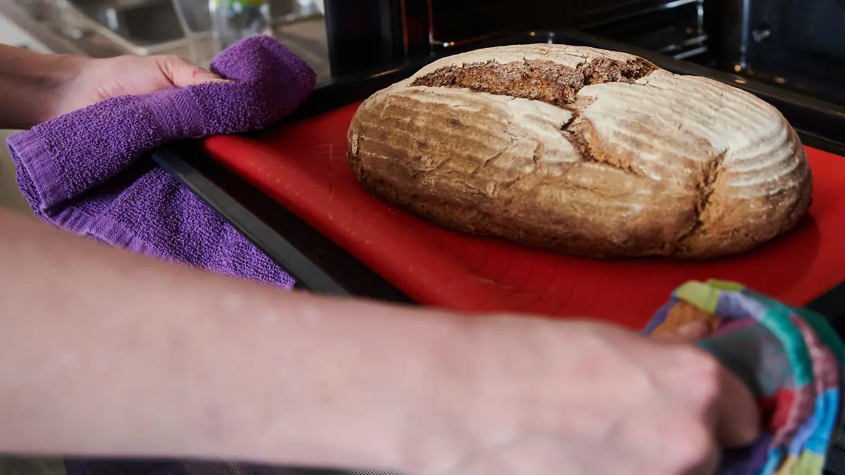 20.01.2021, Berlin: Sonja Scherfer nimmt ein frisch gebackenes Brot aus dem Ofen einer Küche im Gemeindehauses der evangelischen Dorfkirchengemeinde Britz. Zu Beginn der Pandemie horteten Kunden in den Supermärkten plötzlich Mehl und Hefe. Jetzt wird deutlich, was mit den Unmengen an Mehl passiert ist: Viele Menschen haben das Brotbacken als Hobby für sich entdeckt. Das freut sogar die Bäcker. (zu «Zeit und Mehl im Überfluss: Brotbacken als Corona-Trend») Foto: Annette Riedl/dpa +++ dpa-Bildfunk +++