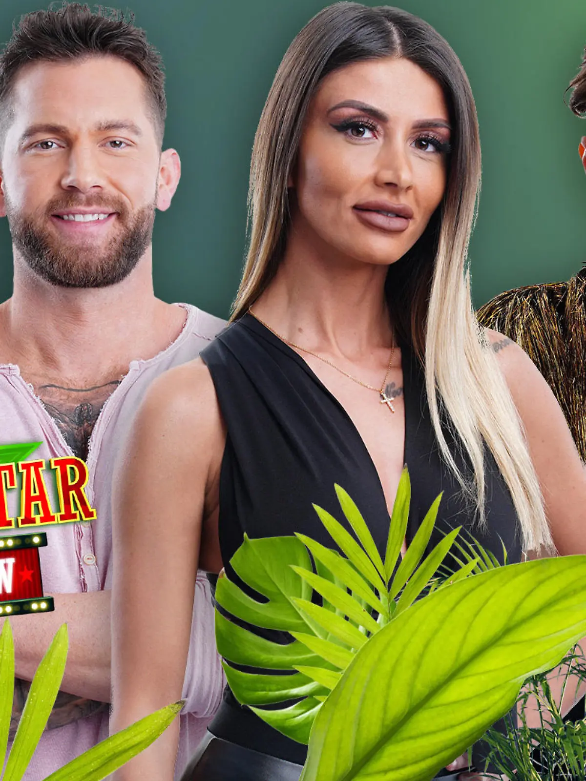 Ich bin ein Star - Die große Dschungelshow