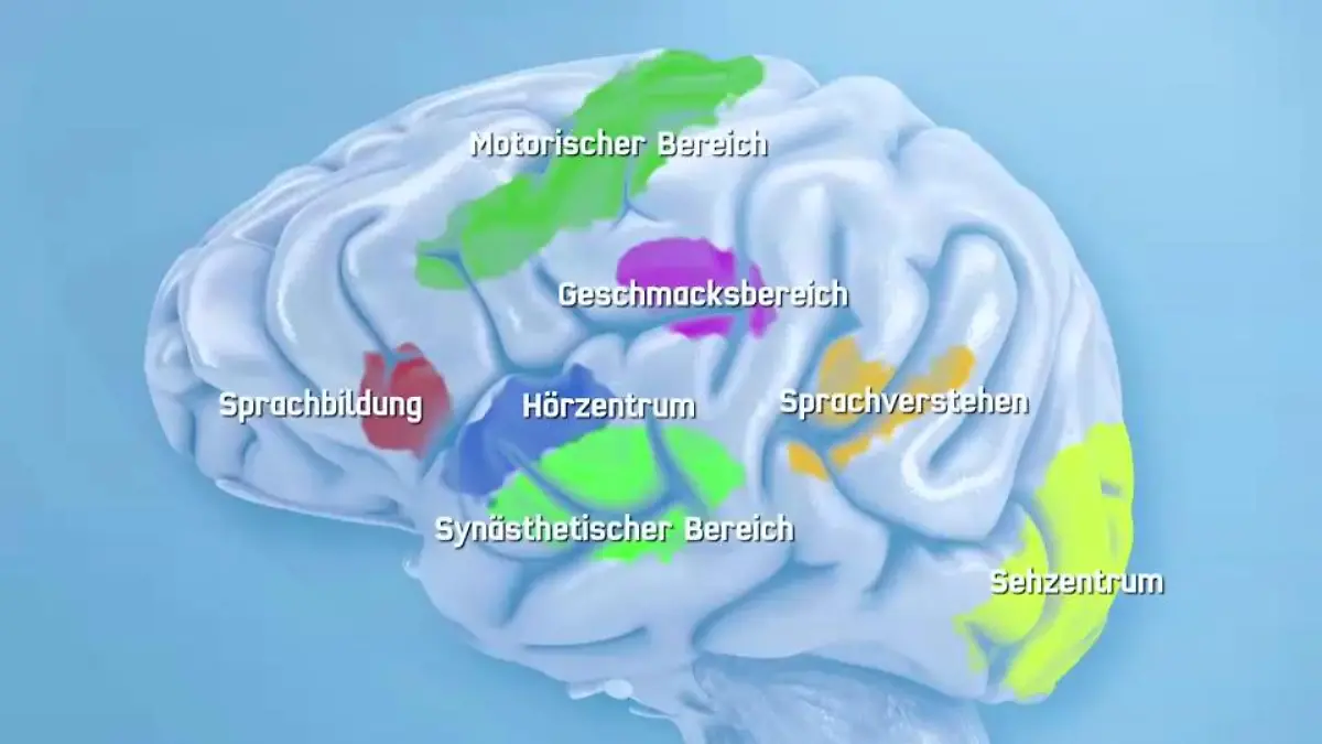 Synästhesie