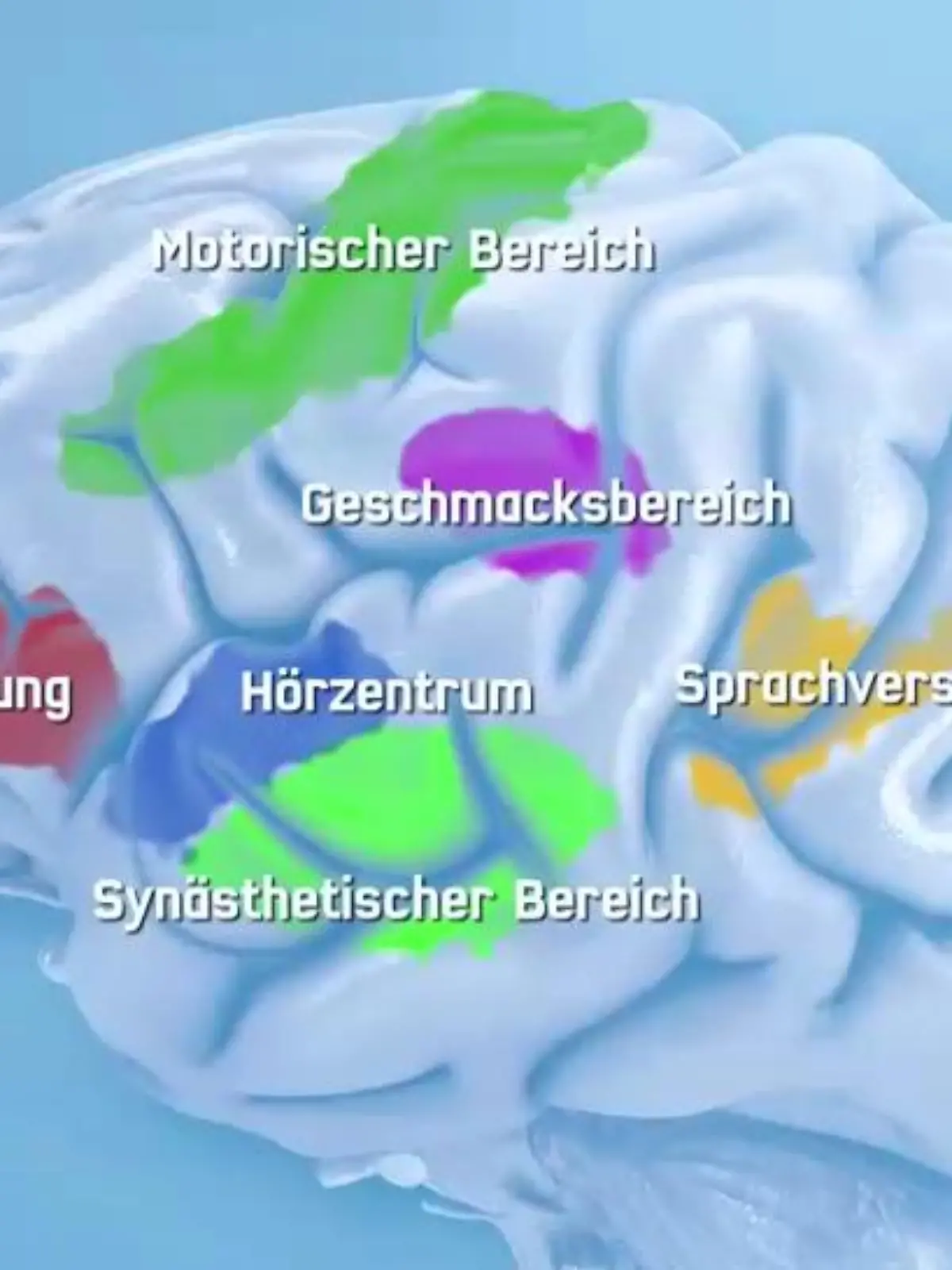 Synästhesie