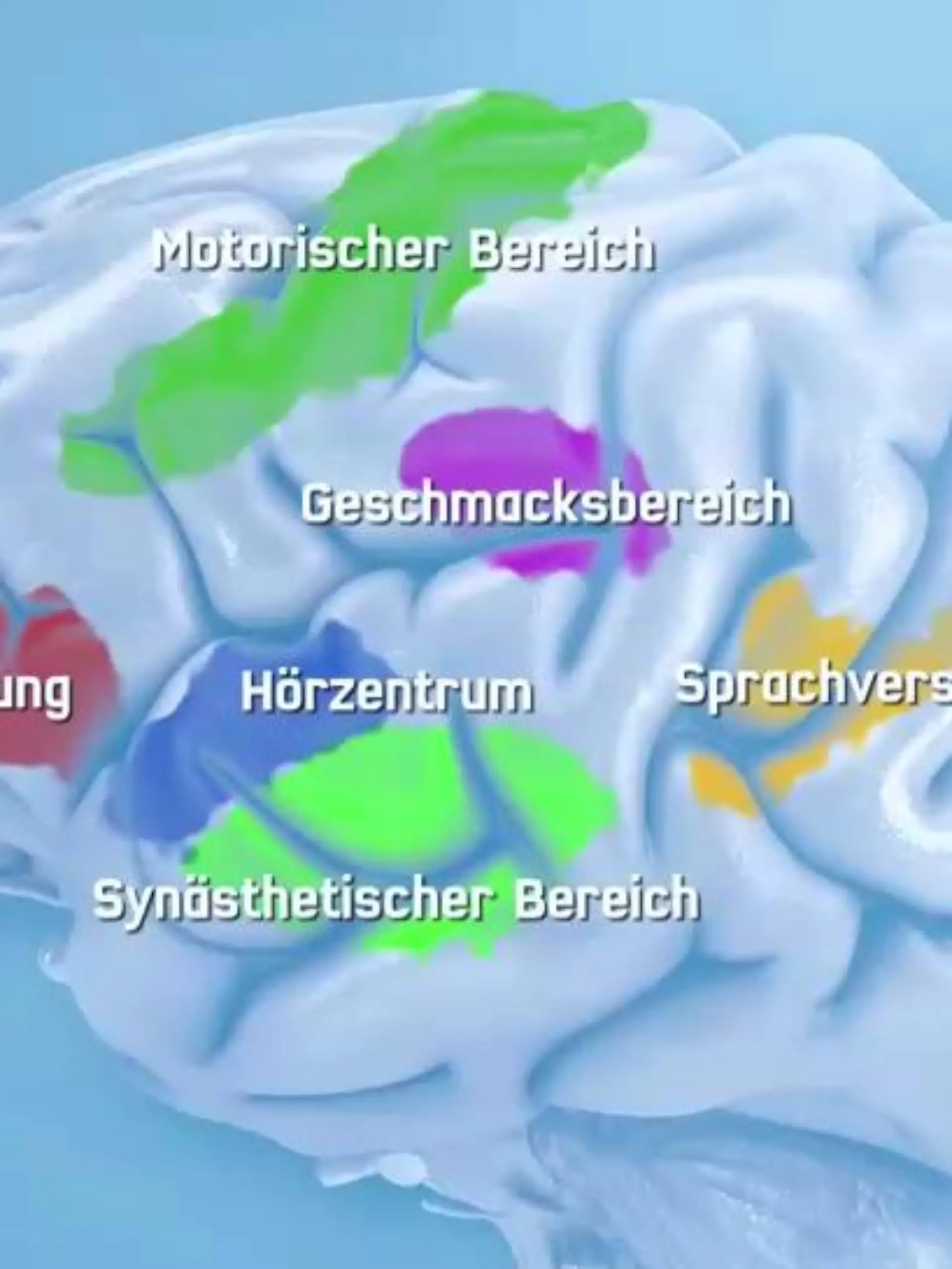 Synästhesie
