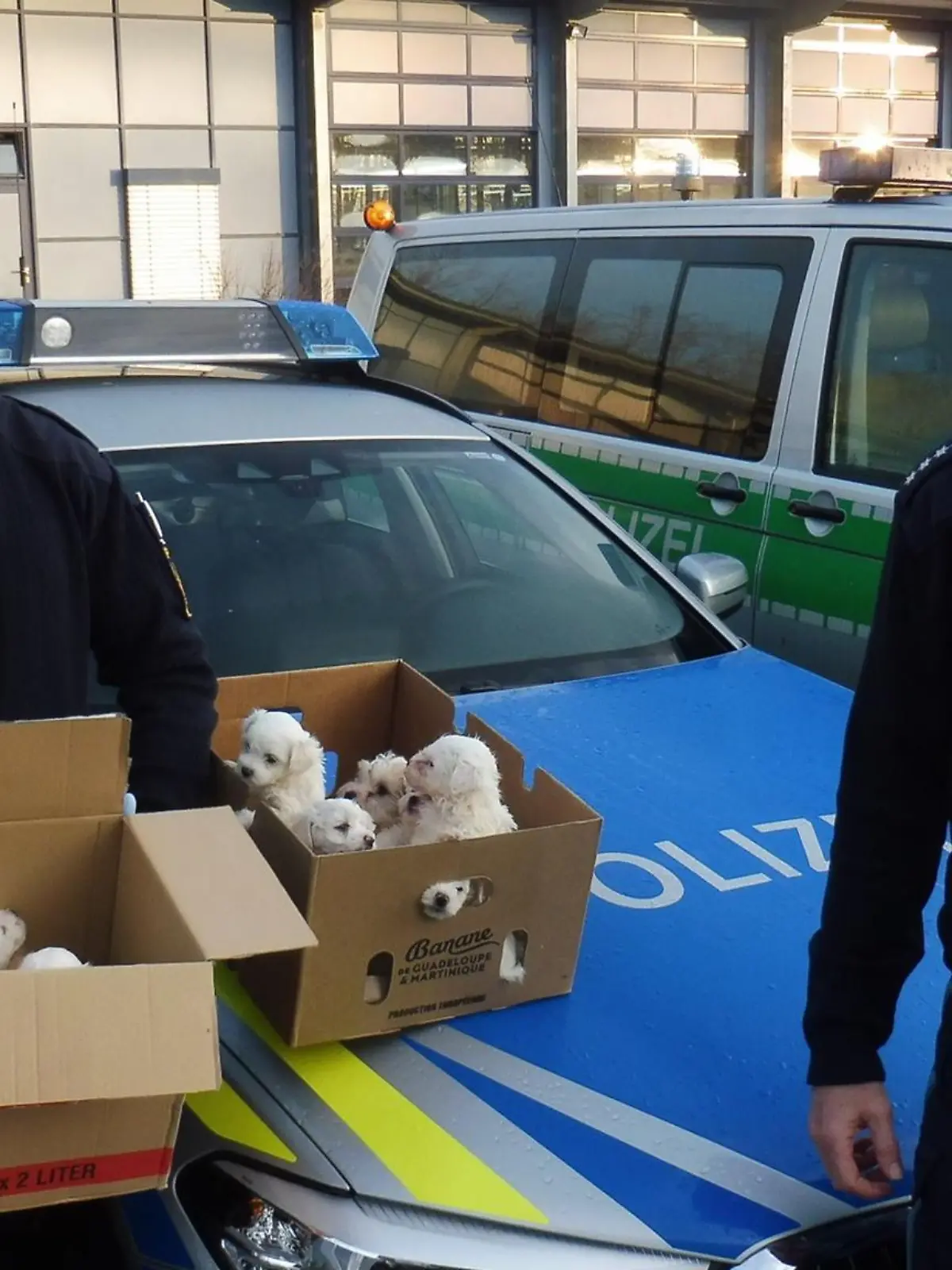 Polizisten und Malteserwelpen
