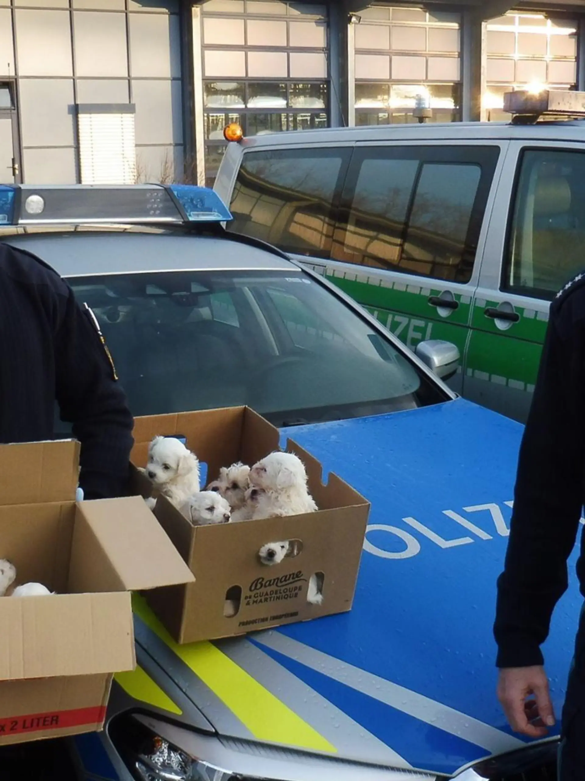 Polizisten und Malteserwelpen