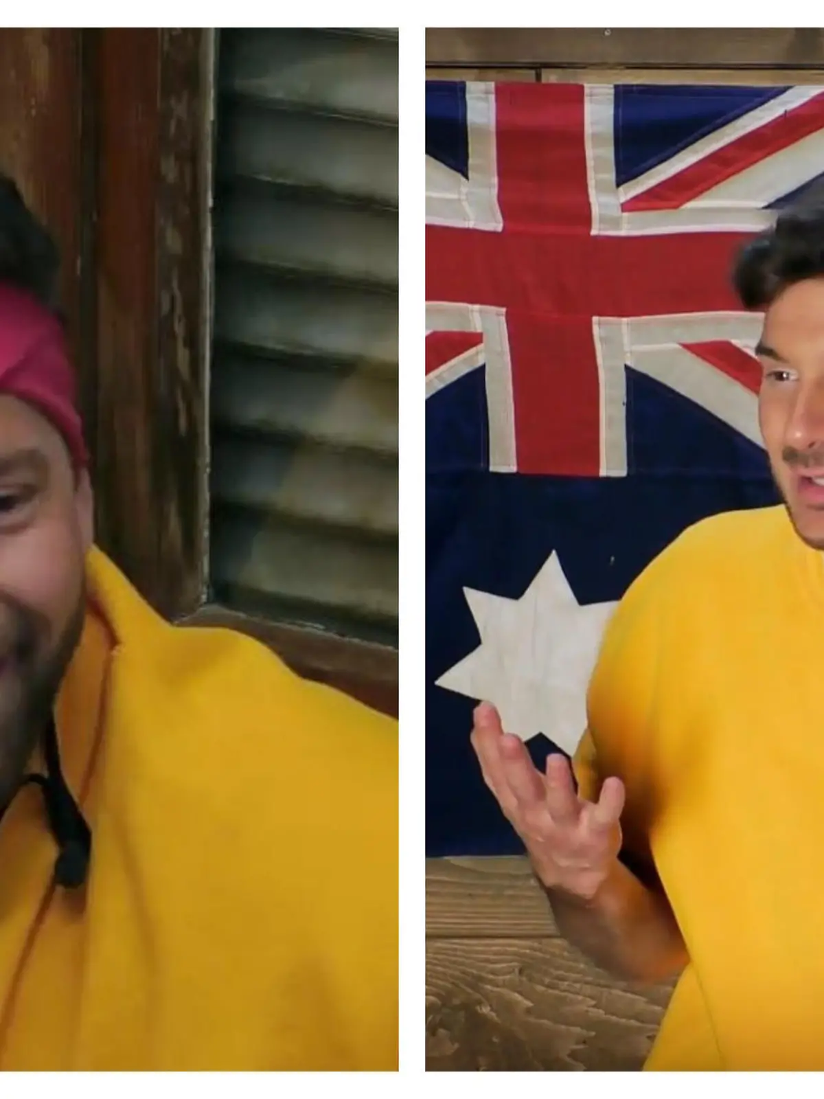 Ich bin ein Star - Die große Dschungelshow