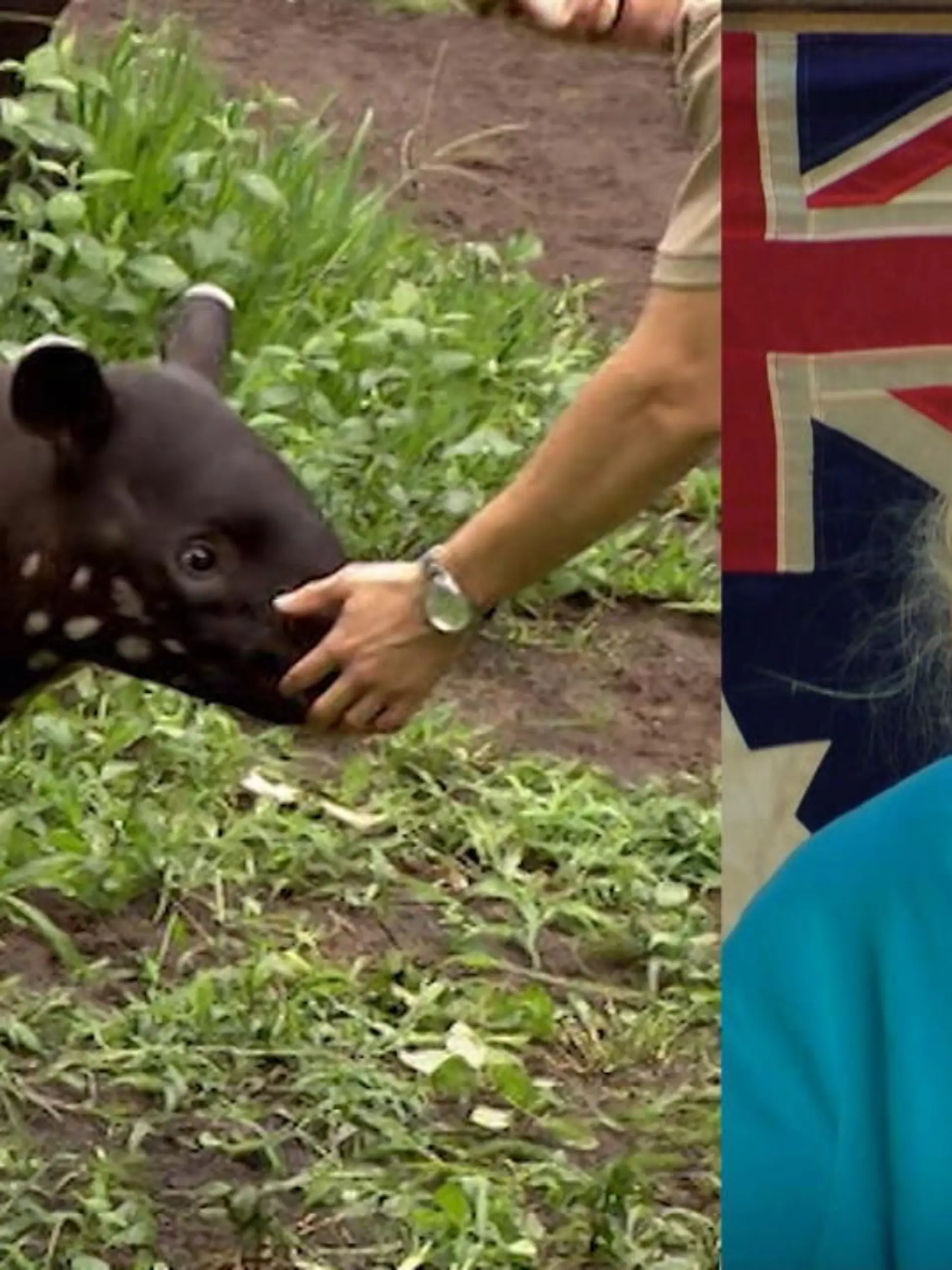 Bea wird als "Schabrackentapir" beschimpft