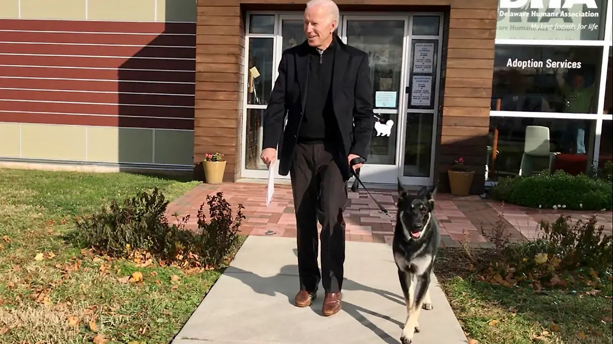 17.11.2018, USA, Wilmington: Joe Biden, damaliger Vizepräsident der USA, und sein neu adoptierter Deutscher Schäferhund Major verlassen das Tierheim DHA. Mit «Major» könnte dem Portal «Buzzfeed» zufolge sogar erstmals ein Hund aus einem Tierheim ins Weiße Haus einziehen. (zu dpa-Extra ««Champ» und «Major»: Bald wieder Hunde im Weißen Haus») Foto: Stephanie Carter/Delaware Humane Association/dpa +++ dpa-Bildfunk +++