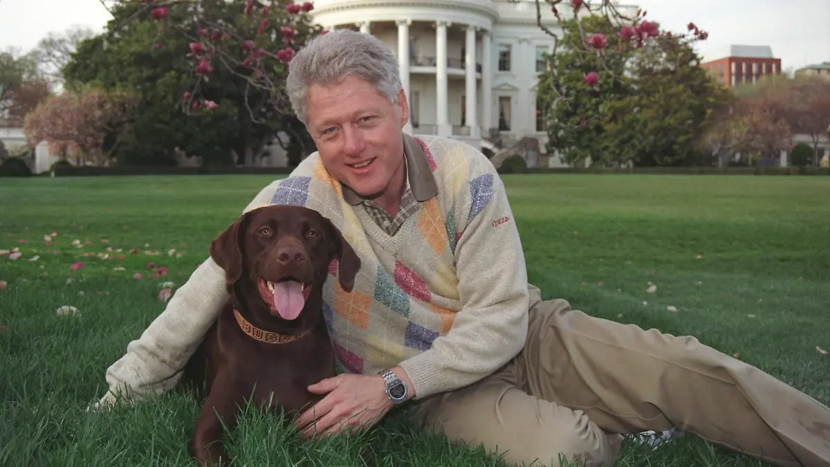 President Bill Clinton with his a male chocolate-colored Labrador Retriever, Buddy. Clinton acquired Buddy as a 3-month-old puppy in Dec. 1997, when his inappropriate relationship with a White House intern had created a major scandal. (BSLOC_2015_2_204)