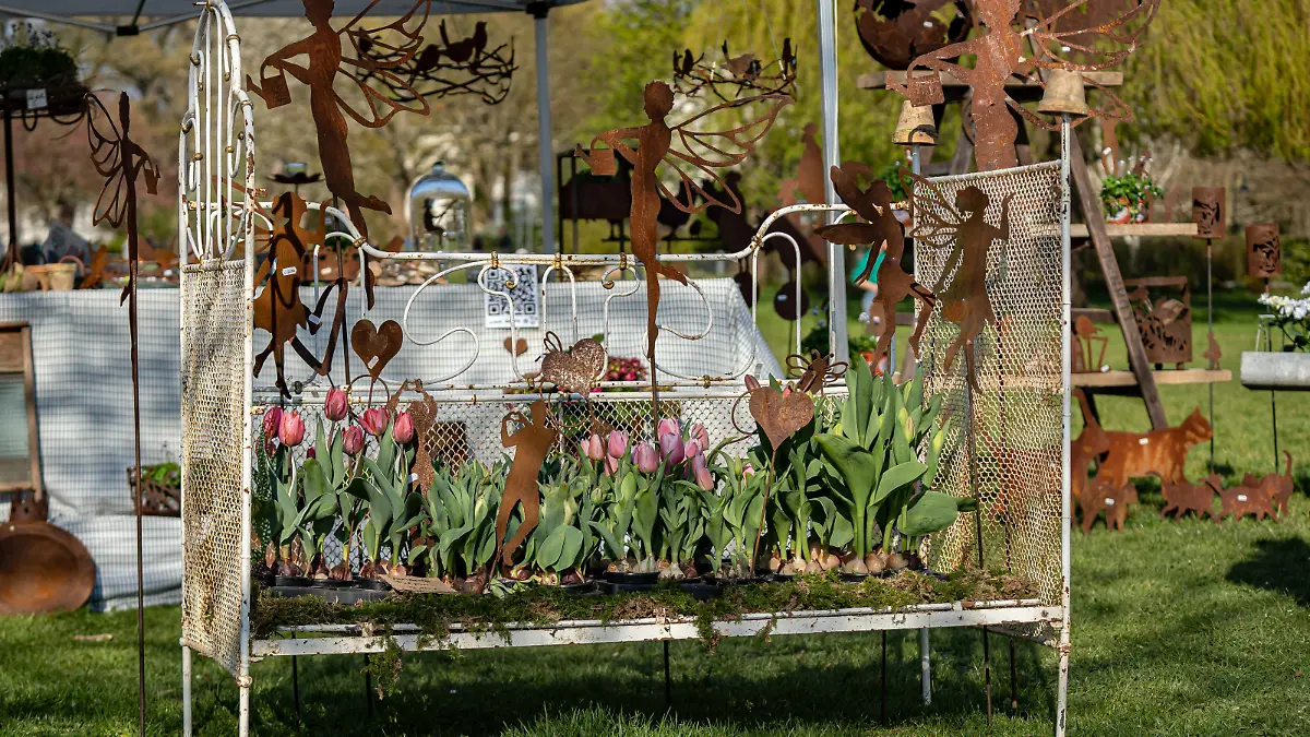 Garten-Tipps gesucht? Dann ab nach Mölln!