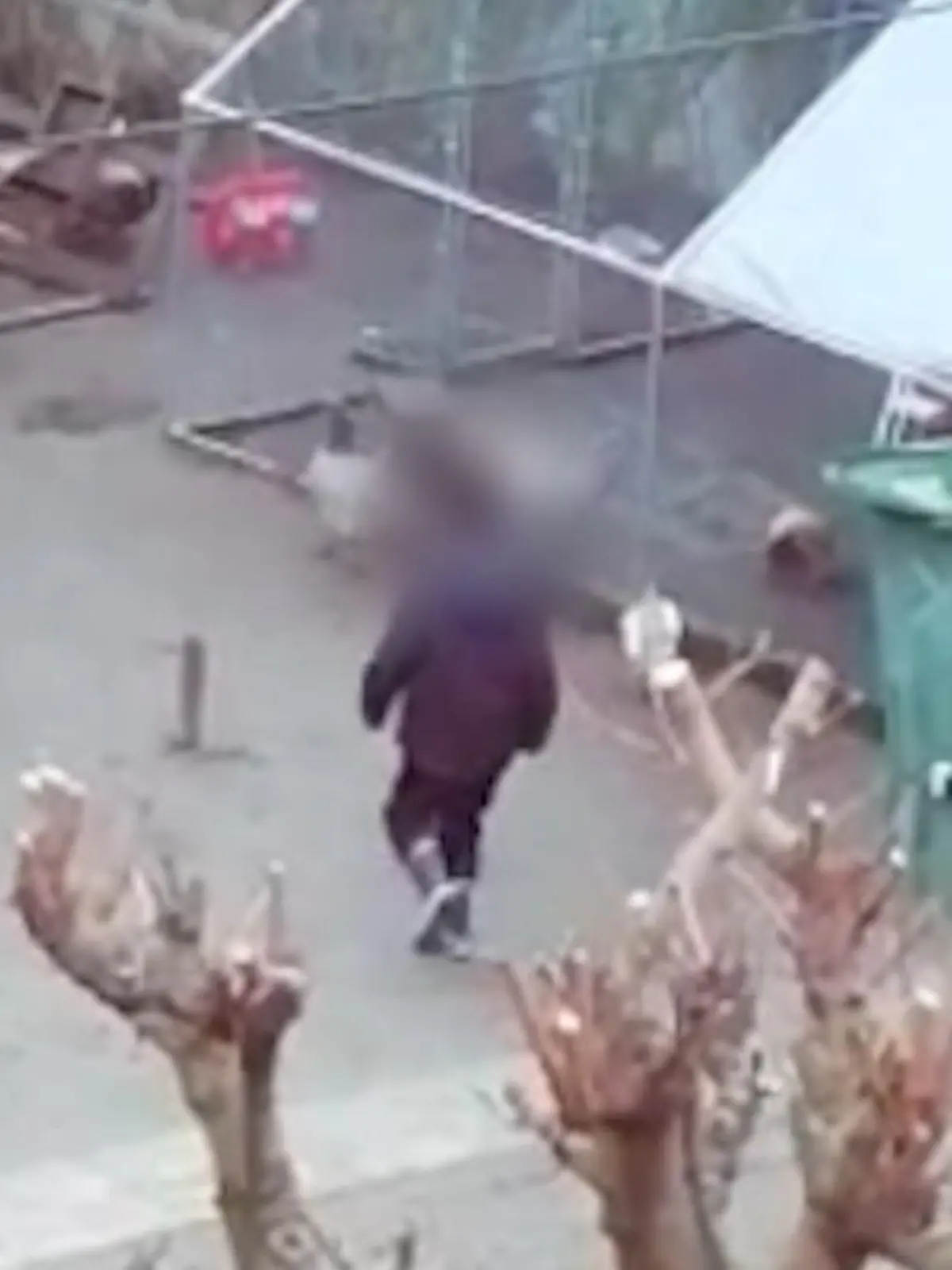 Es ist ein Fall aus Witten (Nordrhein-Westfalen), der zunächst schockiert: Kinder sollen in einem Garten auf einem Privatgrundstück Hühner mehrmals gequält haben. Ein unbekannter Nachbar filmte die Szenen und alarmierte die Tierschutzorganisation PETA. Das Video zeigt die fragwürdigen Aufnahmen und die Reaktion des Vaters.