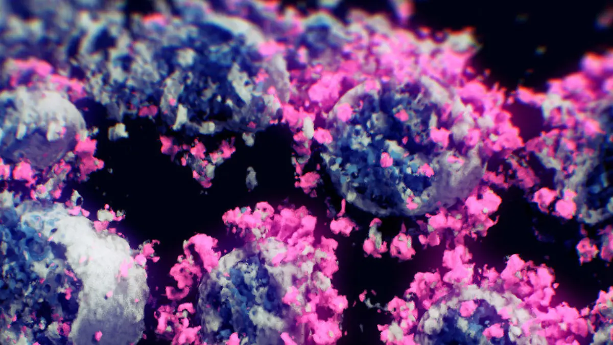 Das erste Foto des Coronavirus