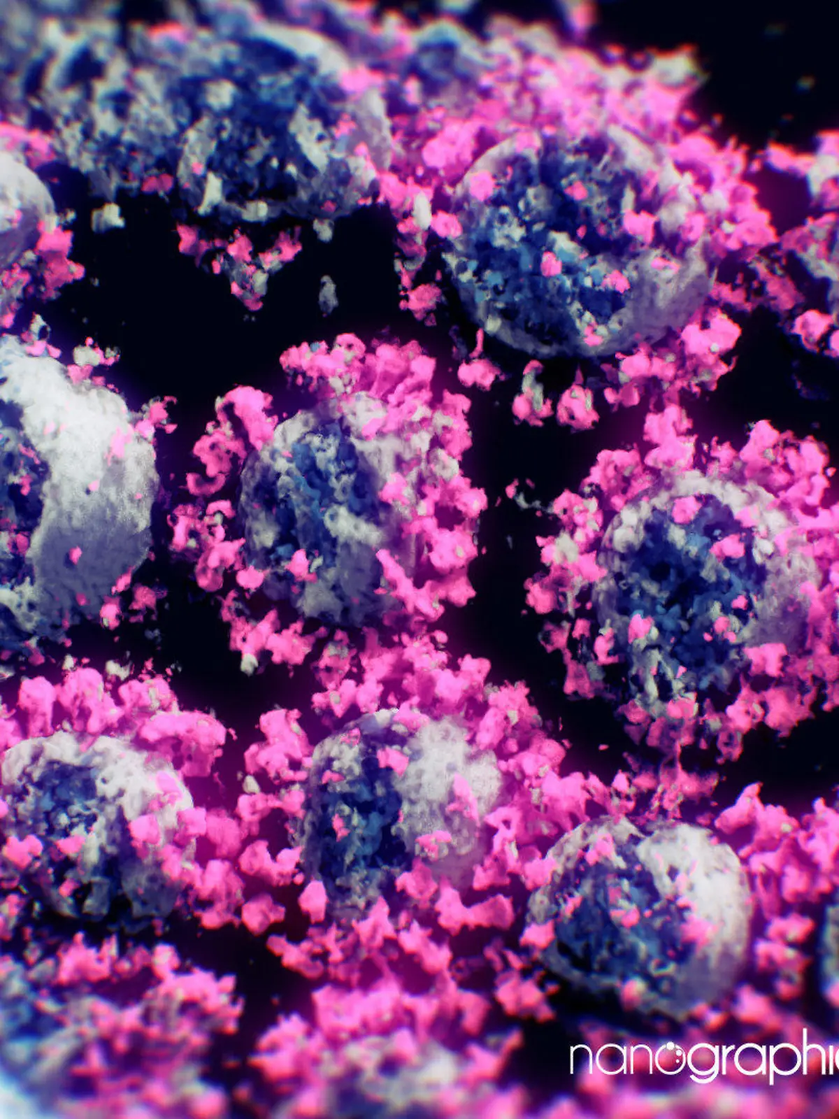 Das erste Foto des Coronavirus
