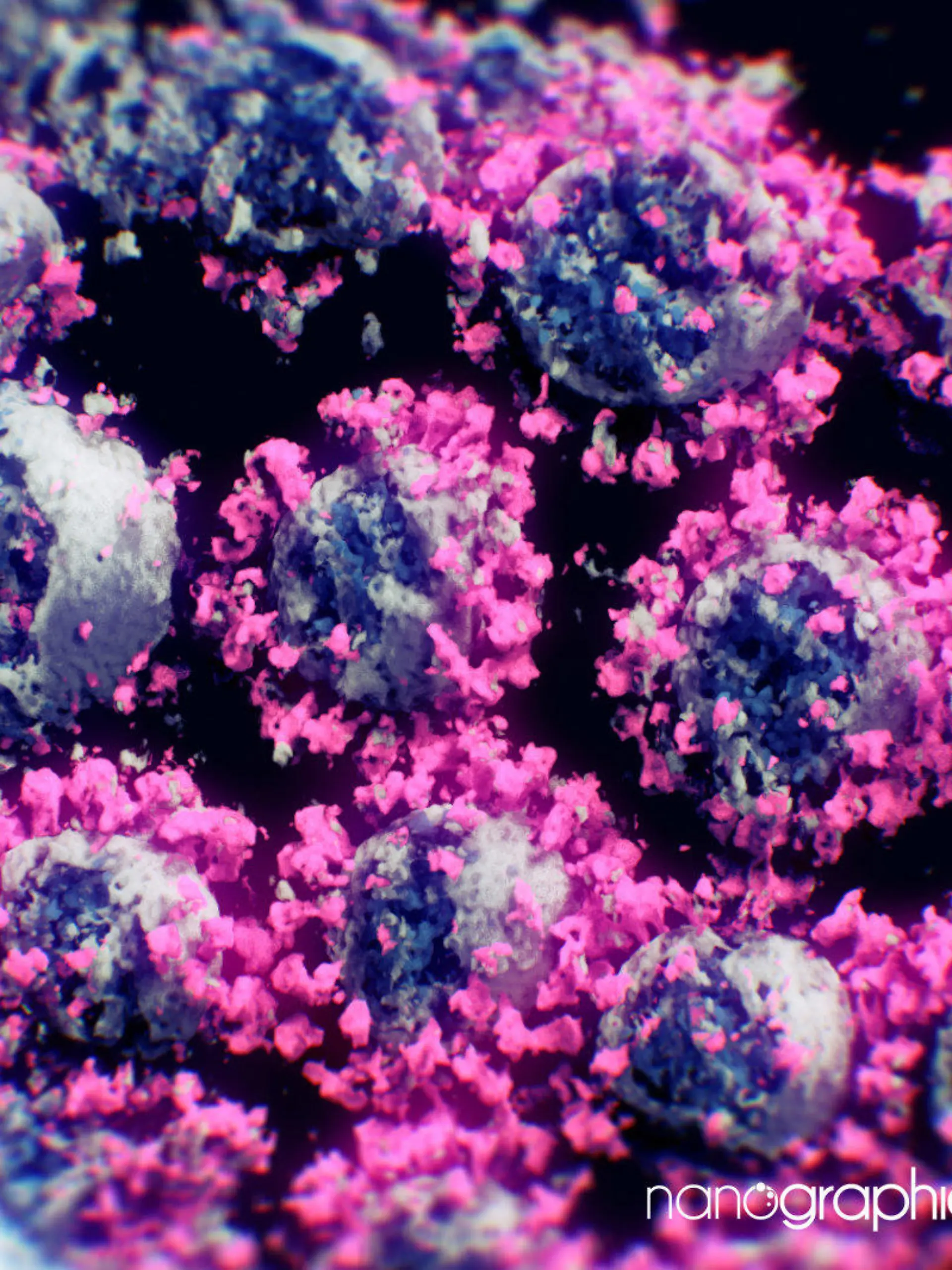 Das erste Foto des Coronavirus