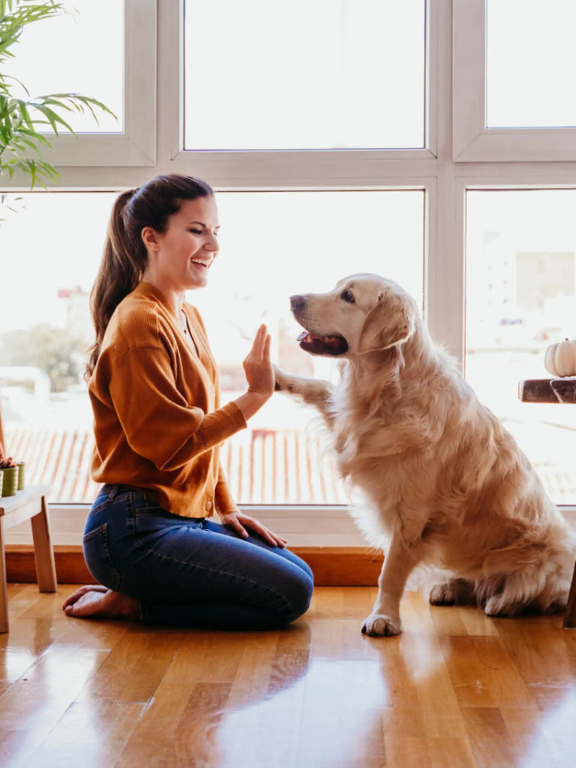 Bis ihr Hund stubenrein ist, sind Geduld und Nachsicht gefragt.