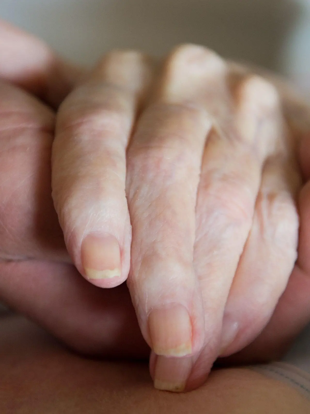 ARCHIV - 27.07.2015, --: Ein Altenpfleger hält in einem Pflegeheim die Hand einer Frau. (zu dpa ««Verabreichter Tod»? Streitthema Sterbehilfe treibt Frankreich um») Foto: Sebastian Kahnert/zb/dpa +++ dpa-Bildfunk +++