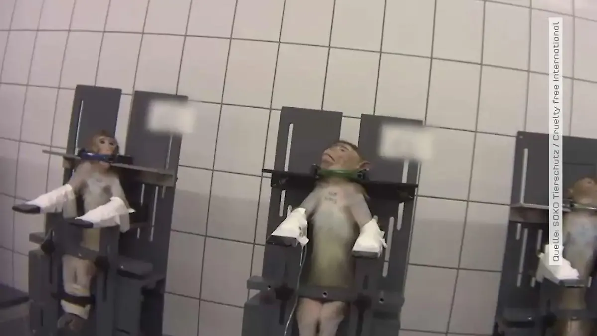 Soko Tierschutz