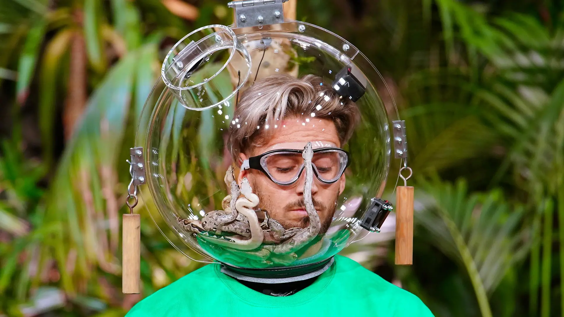 Tag 3: Dschungelprüfung "Tierisch abgedreht".
Mike Heiter bleibt gelassen, auch wenn die Schlangen auf seinem Gesicht kriechen.

Die Verwendung des sendungsbezogenen Materials ist nur mit dem Hinweis und Verlinkung auf TVNOW gestattet.