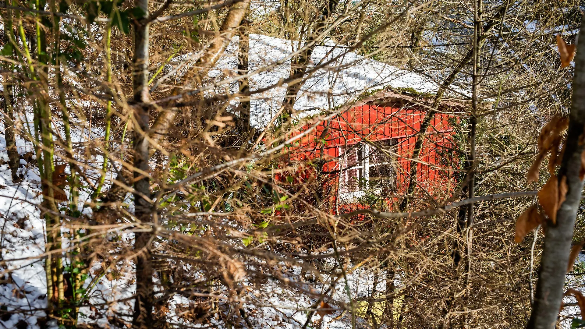 13.01.2021, Baden-Württemberg, Oppenau: Die von dem Angeklagten Yves R. illegal genutzte Gartenhütte steht an einem Hang oberhalb der Stadt Oppenau. Der Angeklagte hatte am 12. Juli 2020 bei einer Kontrolle in der Gartenhütte vier Polizisten gezwungen, die Dienstpistolen abzulegen, und war damit geflüchtet. Ein Großaufgebot der Polizei suchte tagelang nach ihm. Am 17. Juli wurde er in einem Wald festgenommen und sitzt seitdem in Untersuchungshaft. Am 15. Januar 2021 beginnt vor dem Offenburger Landgericht der Prozess gegen den Mann. Foto: Philipp von Ditfurth/dpa +++ dpa-Bildfunk +++