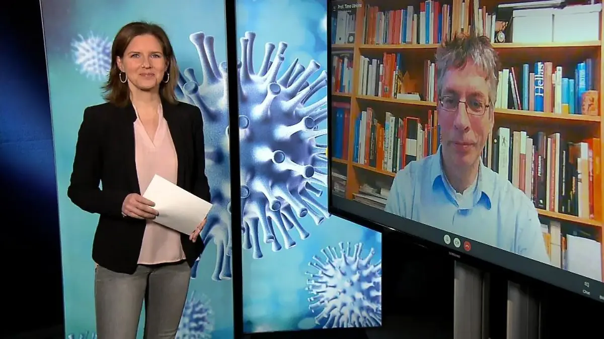 Prof. Timo Ulrichs beantwortet Zuschauerfragen Experte im Interview
