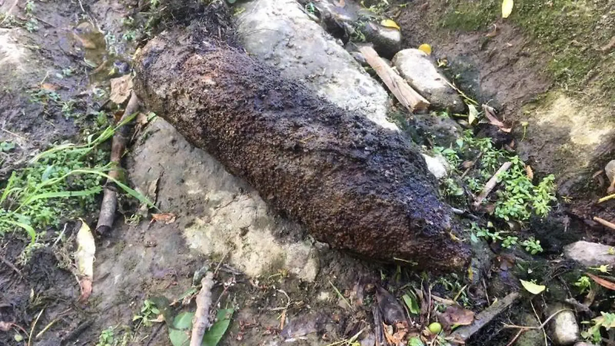 Angler ziehen Granate aus Bach