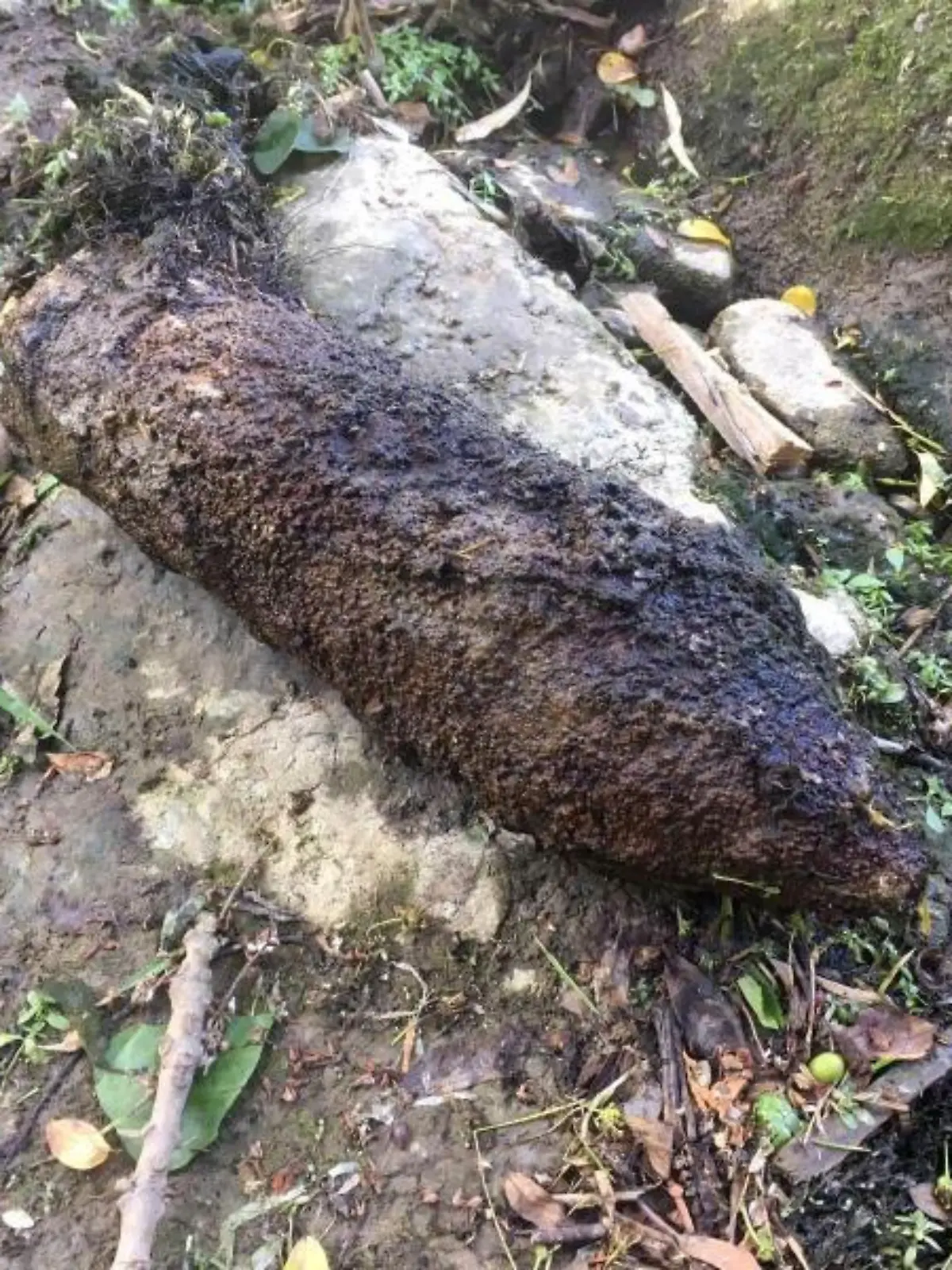 Angler ziehen Granate aus Bach