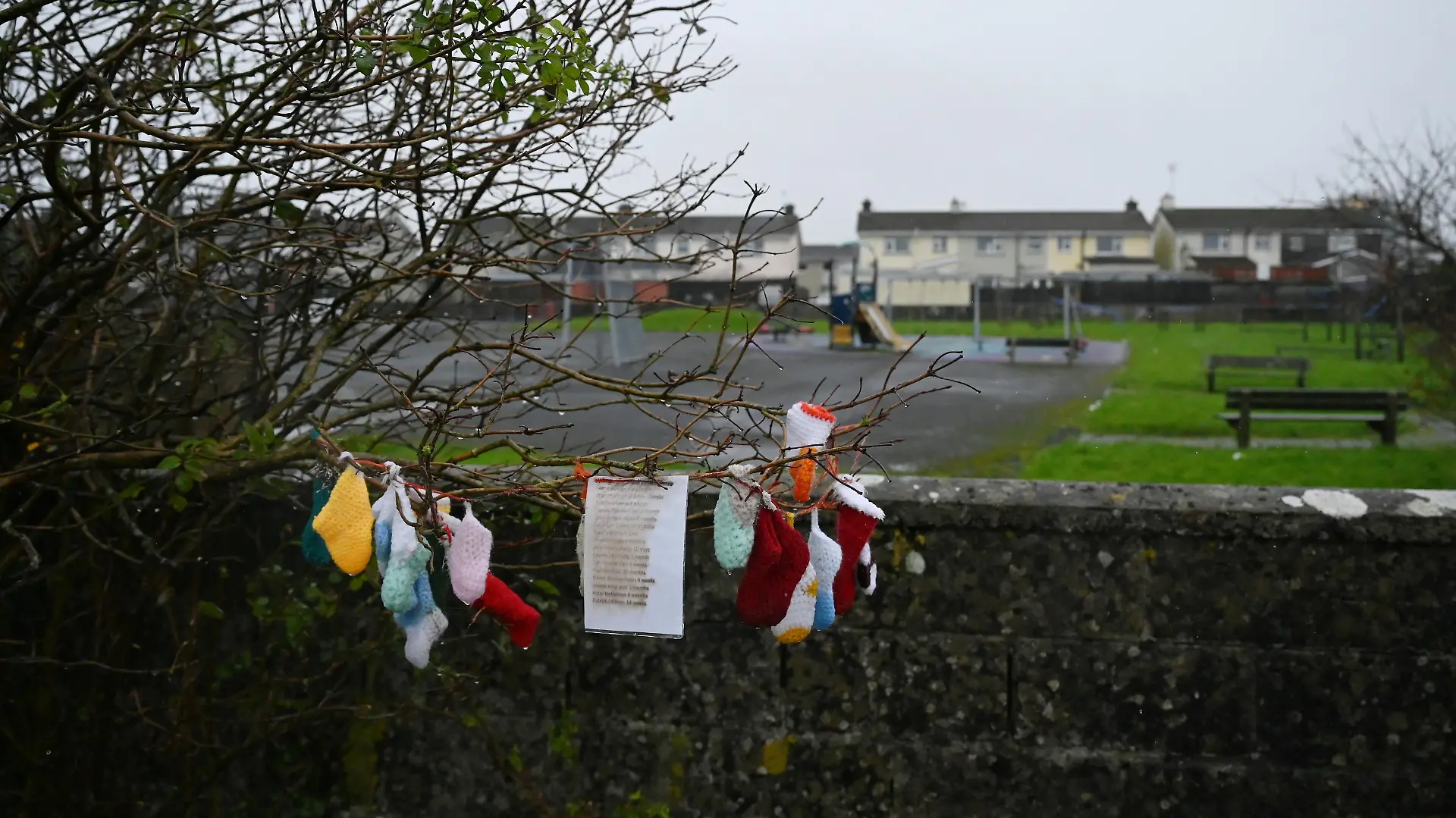 Baby socks hang from a tree at the Tuam graveyard, where the bodies of 796 babies were uncovered at the site of a former Catholic home for unmarried mothers and their children on the day a government-ordered inquiry into former Church-run homes for unmarried mothers is formally published, in Tuam, Ireland, January 12, 2021. REUTERS/Clodagh Kilcoyne